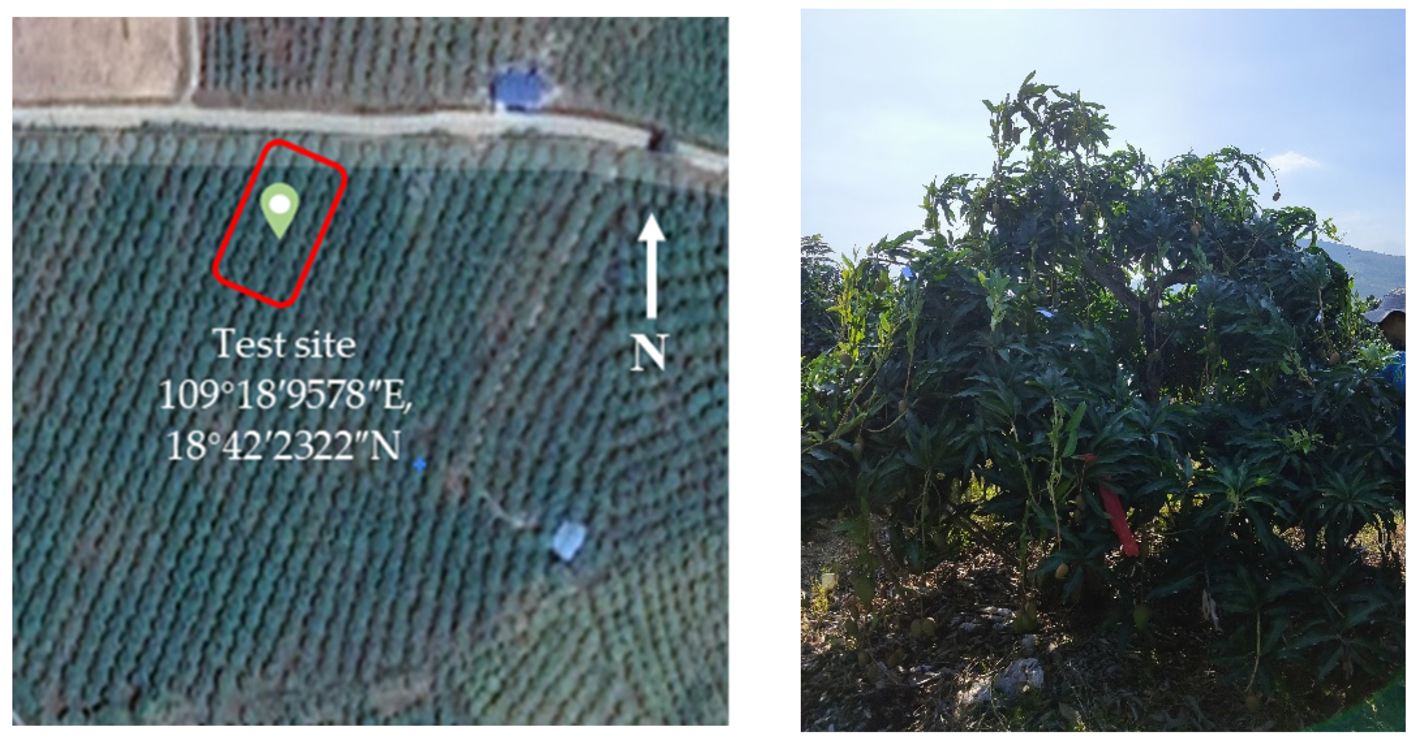 Agronomy 13 02007 g003