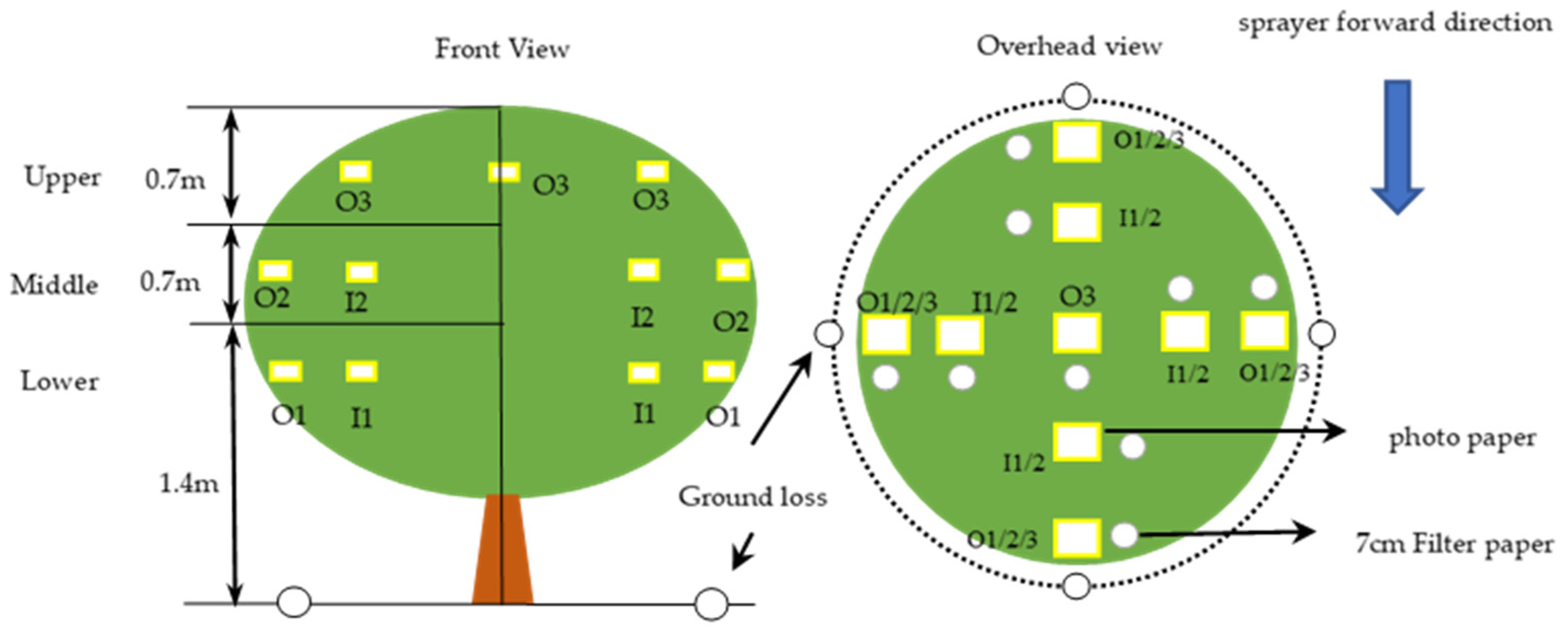 Agronomy 13 02007 g005