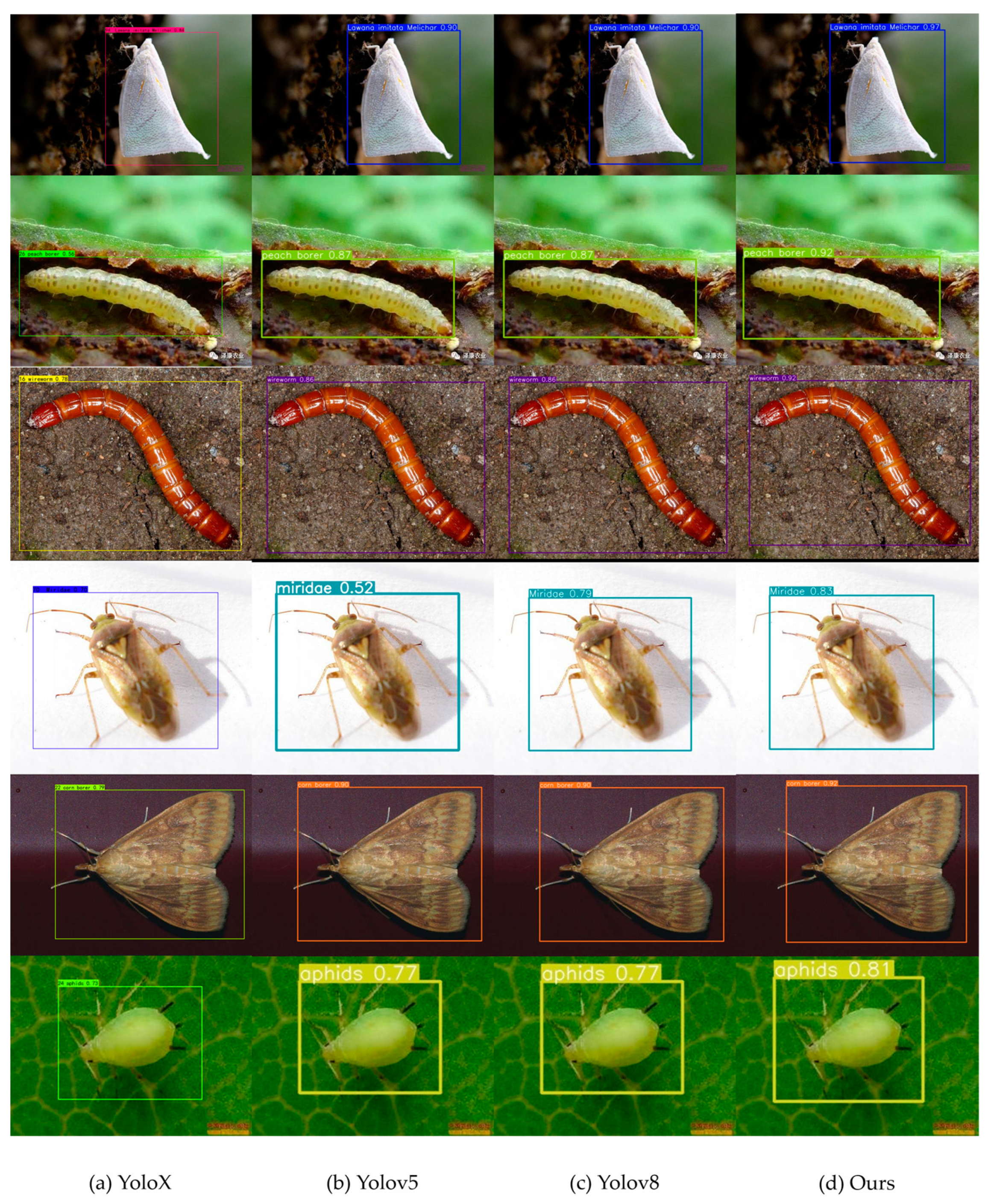 Agronomy 13 02012 g016