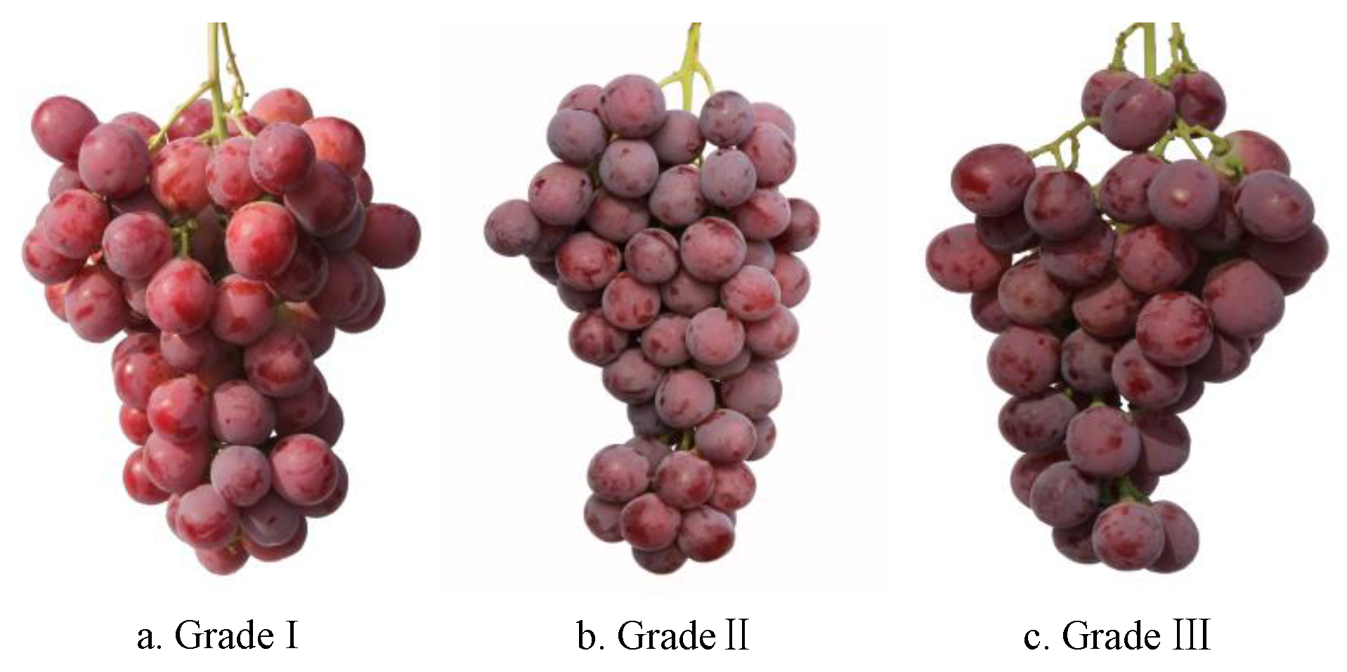 Agronomy 13 02015 g001