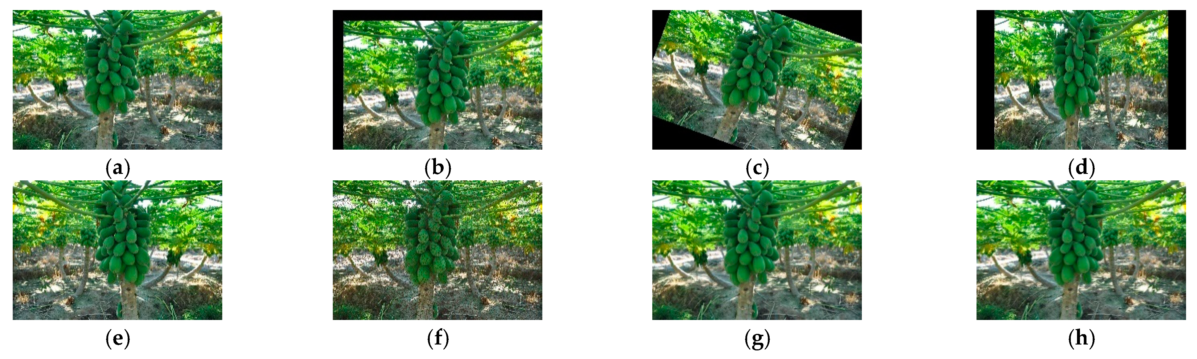 Agronomy 13 02019 g001