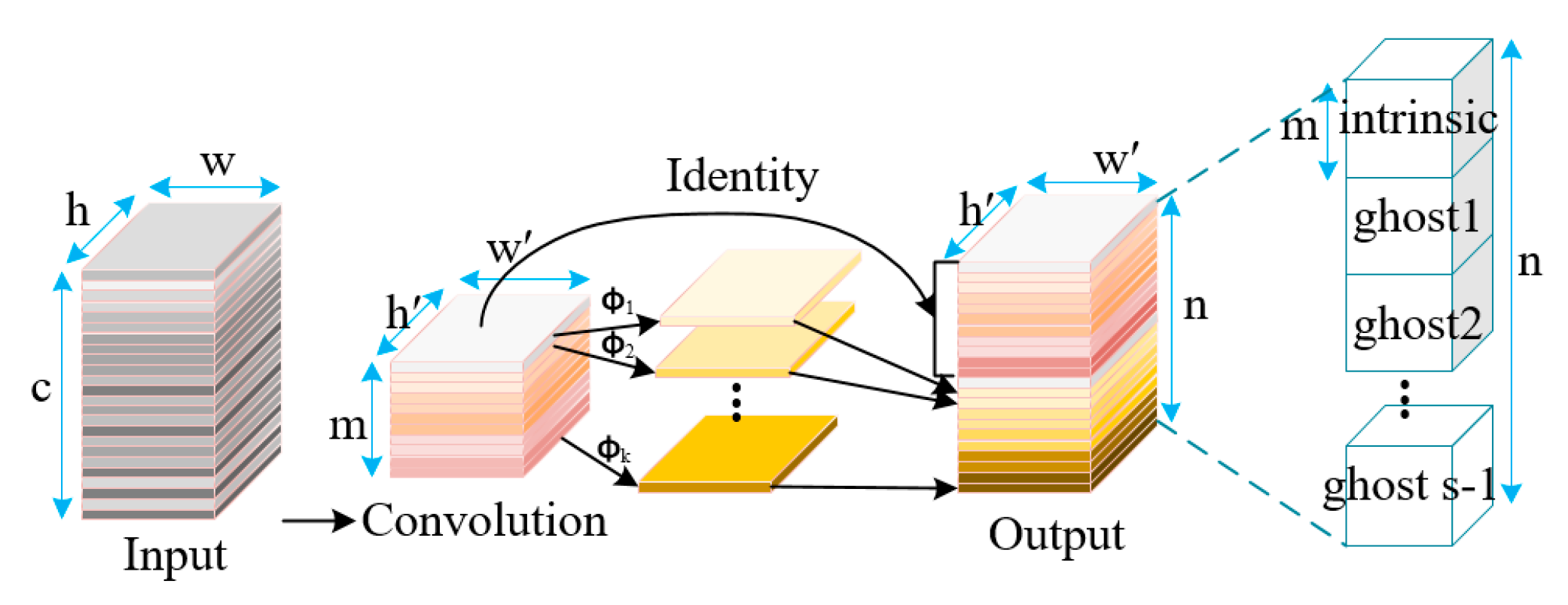 Agronomy 13 02019 g003