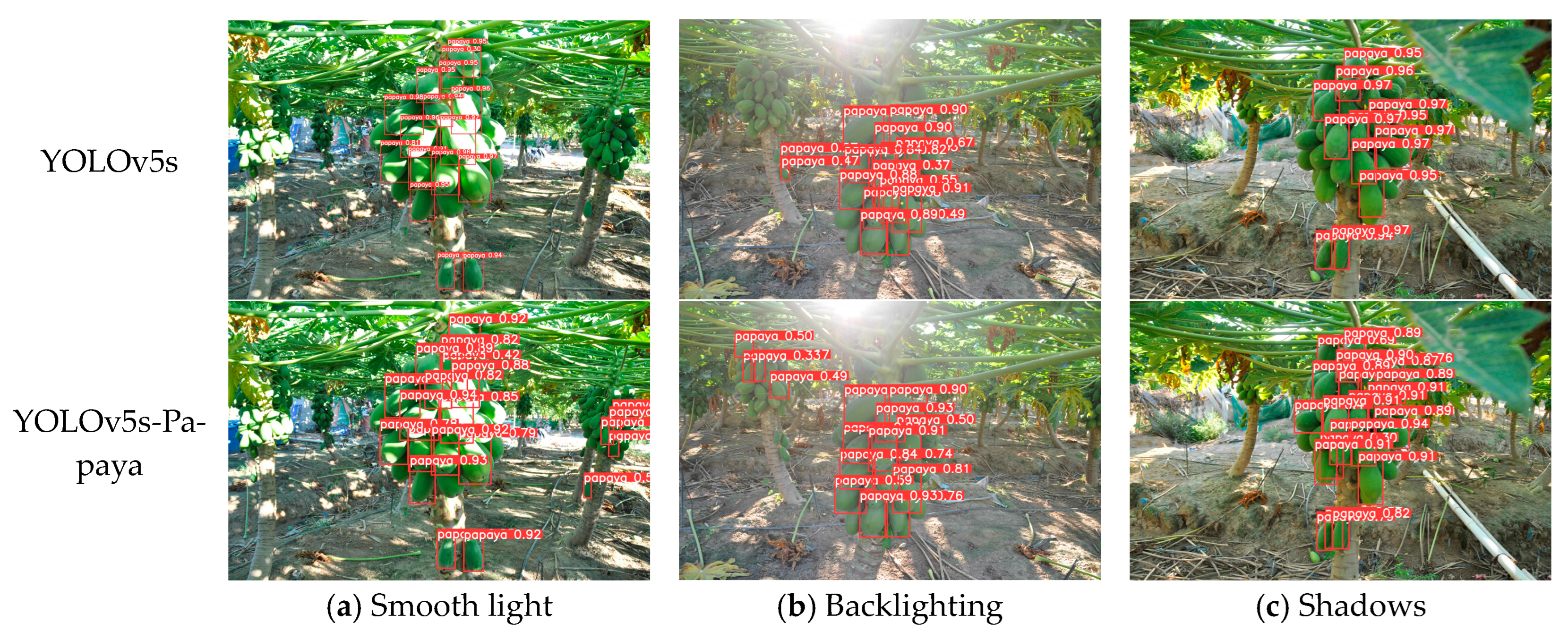 Agronomy 13 02019 g010