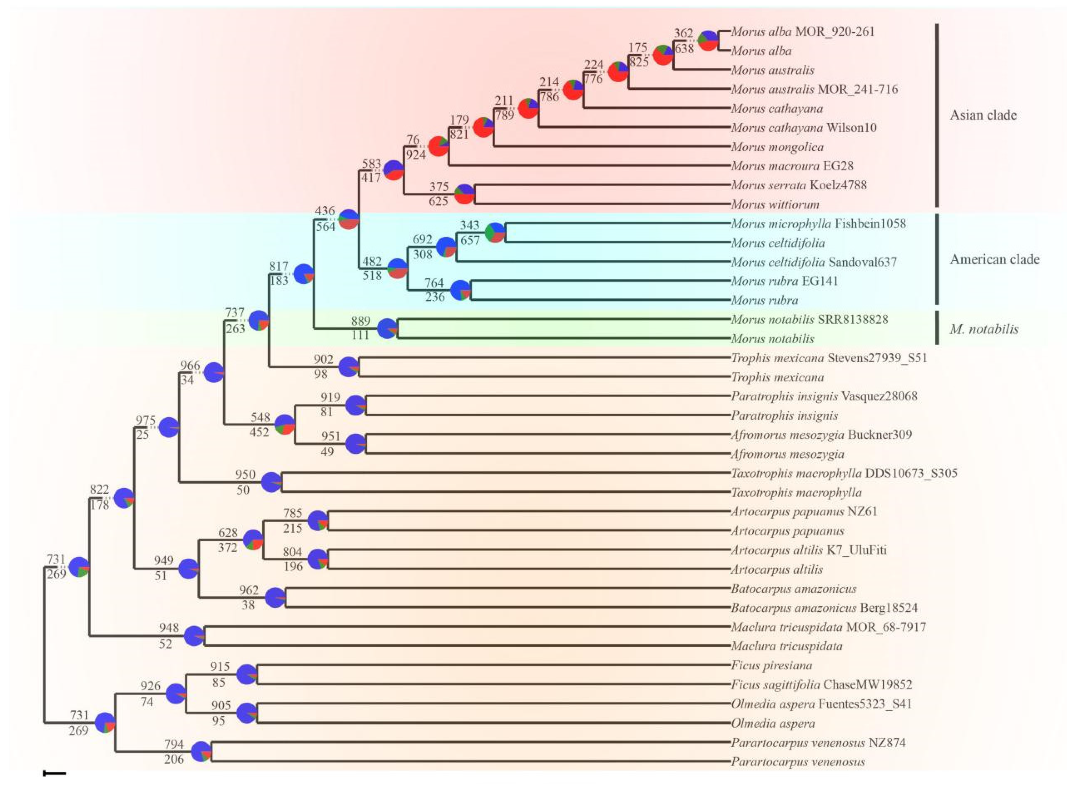 Agronomy 13 02021 g003
