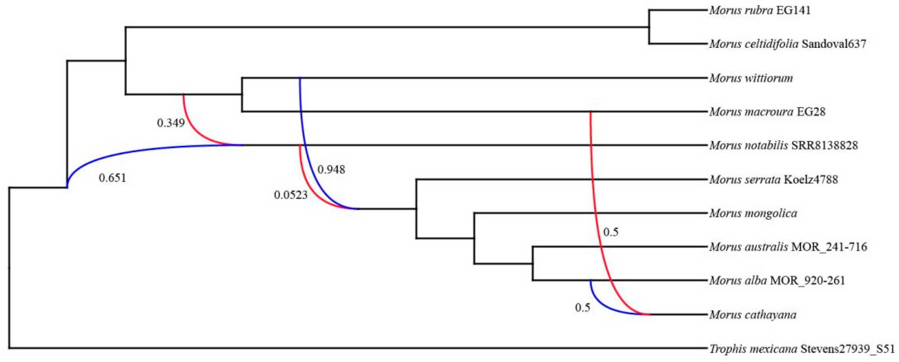 Agronomy 13 02021 g004