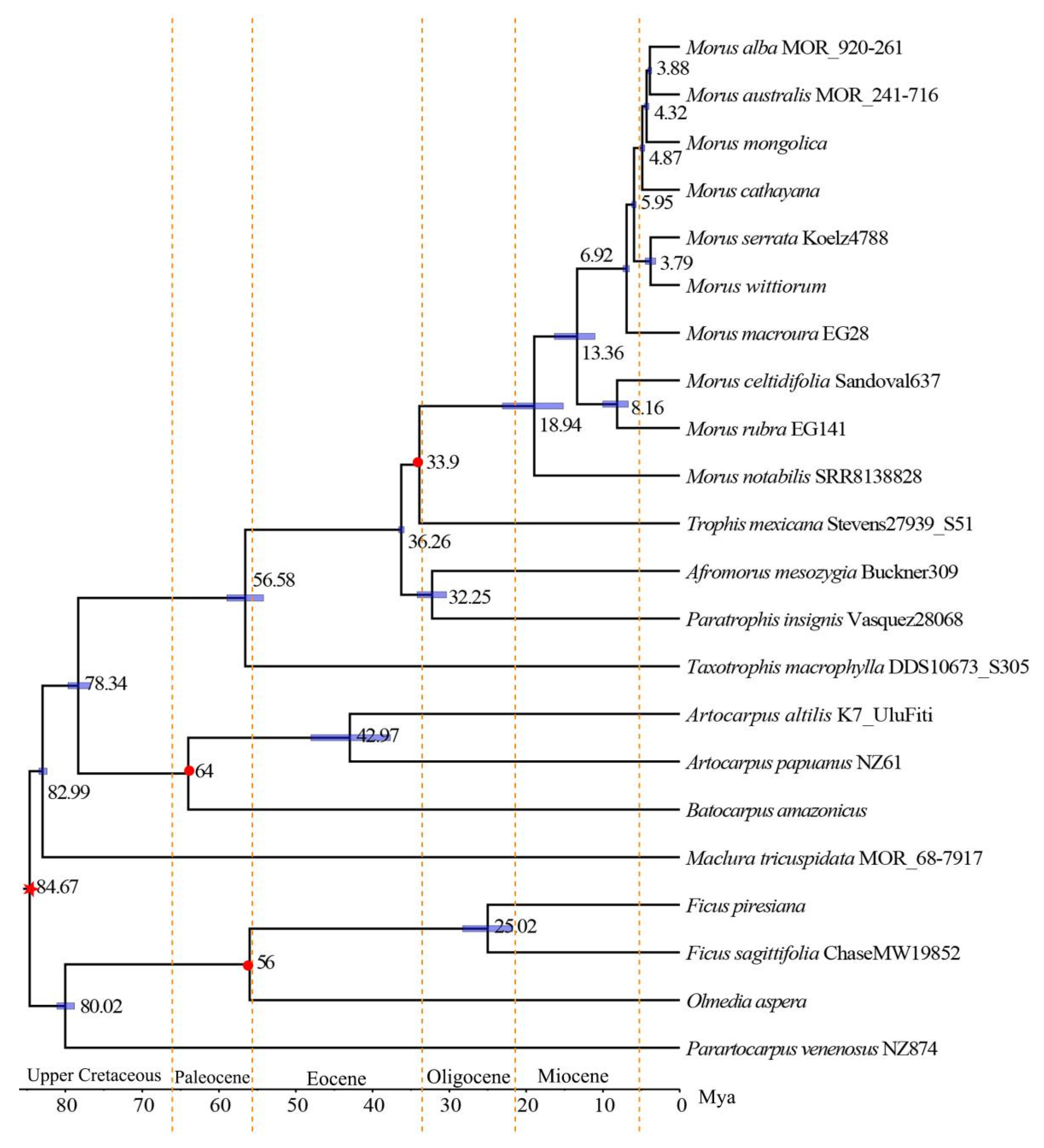 Agronomy 13 02021 g005