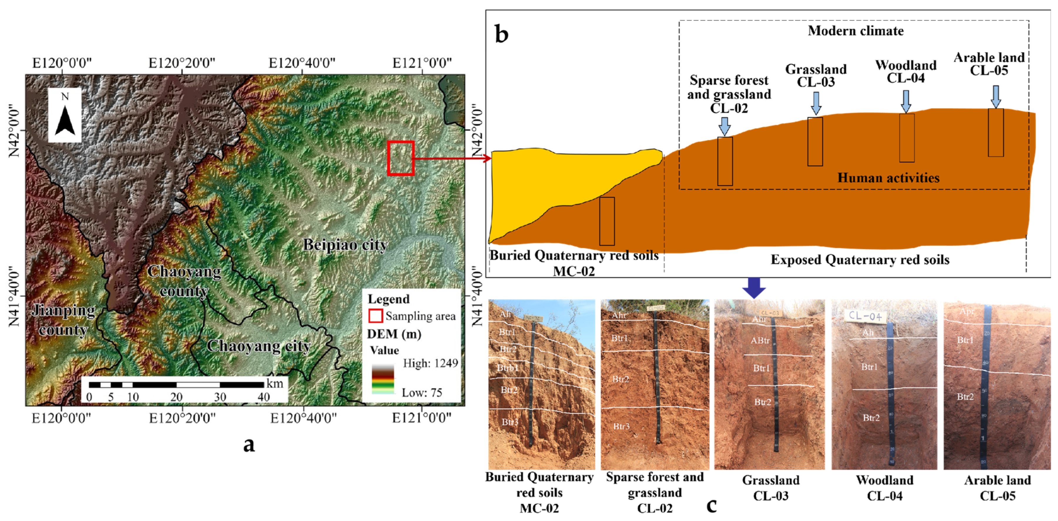 Agronomy 13 02026 g001 Agronomy 13 02026 g001