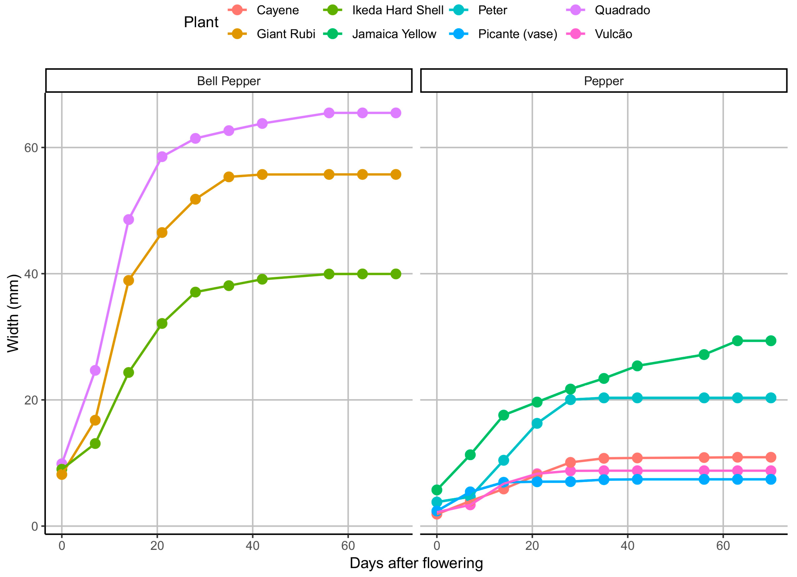 Agronomy 13 02042 g002