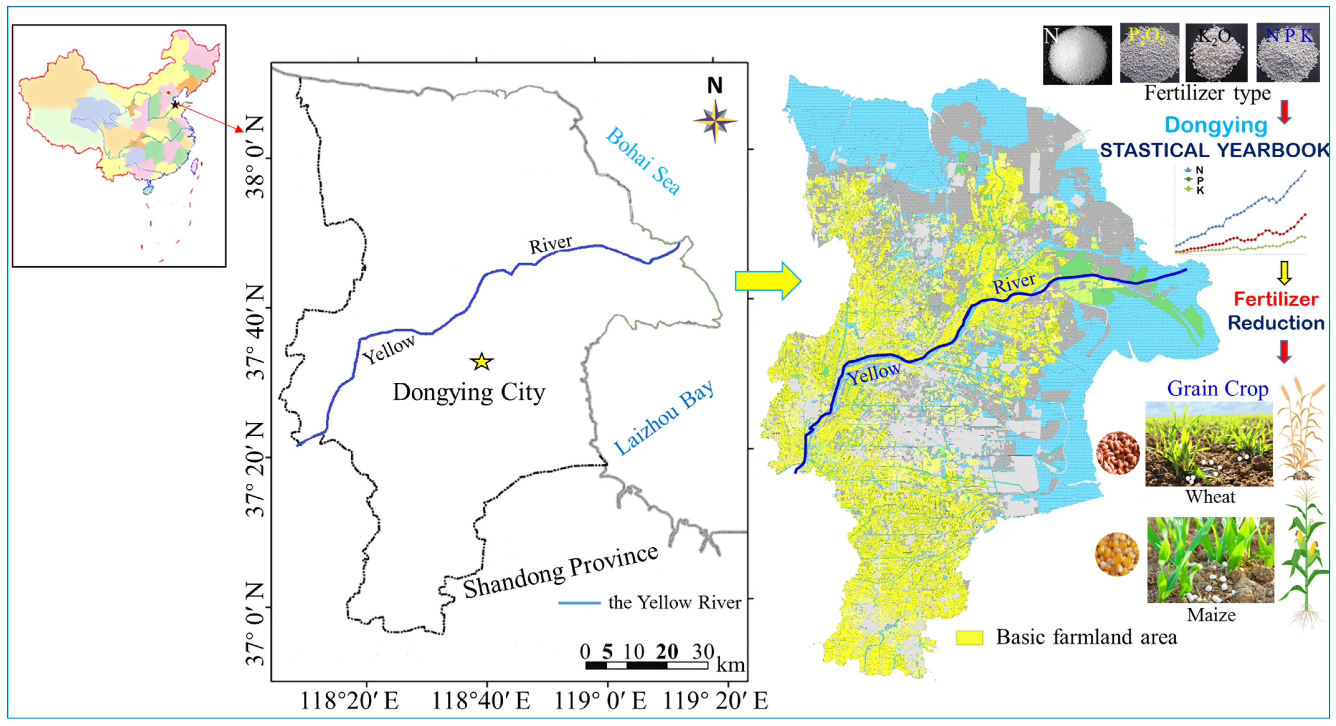 Agronomy 13 02047 g001 Agronomy 13 02047 g001
