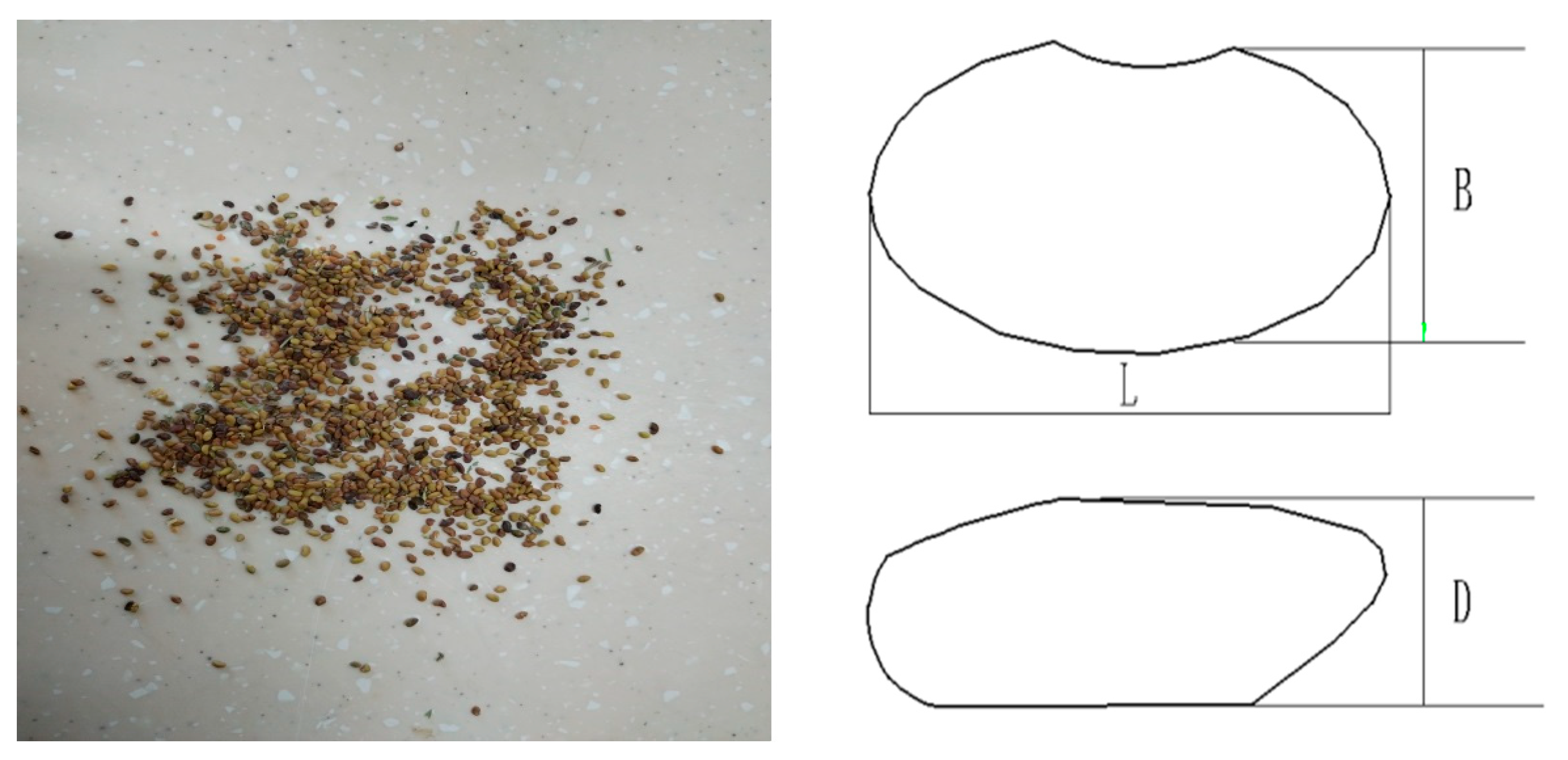 Agronomy 13 02055 g001 Agronomy 13 02055 g001