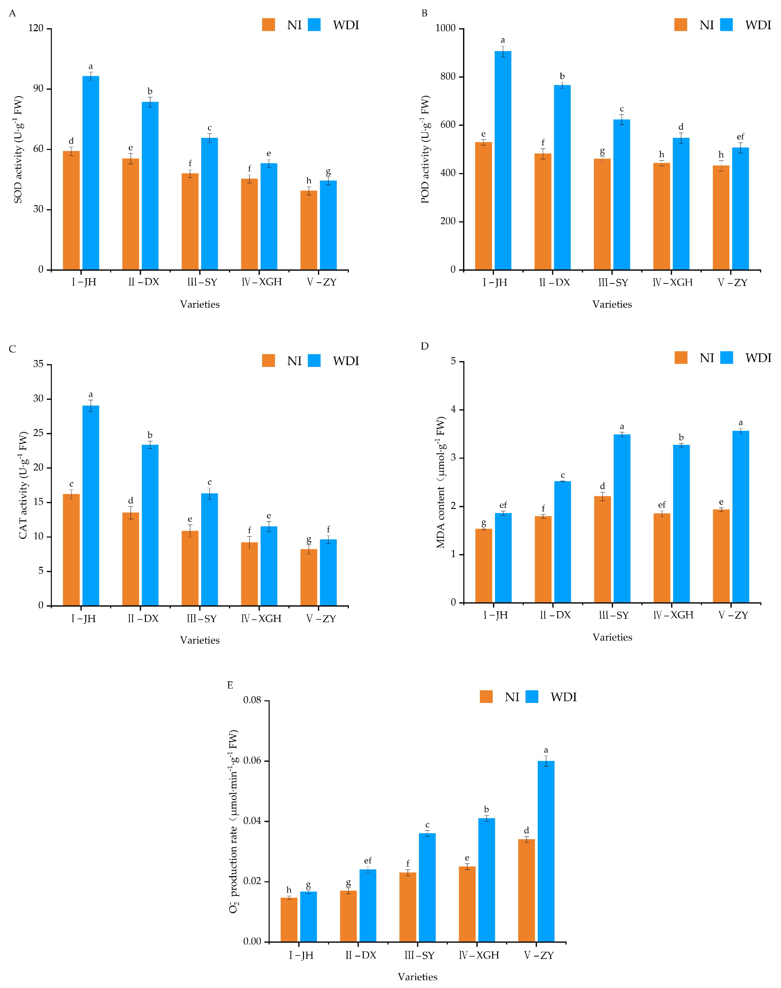 Agronomy 13 02087 g004