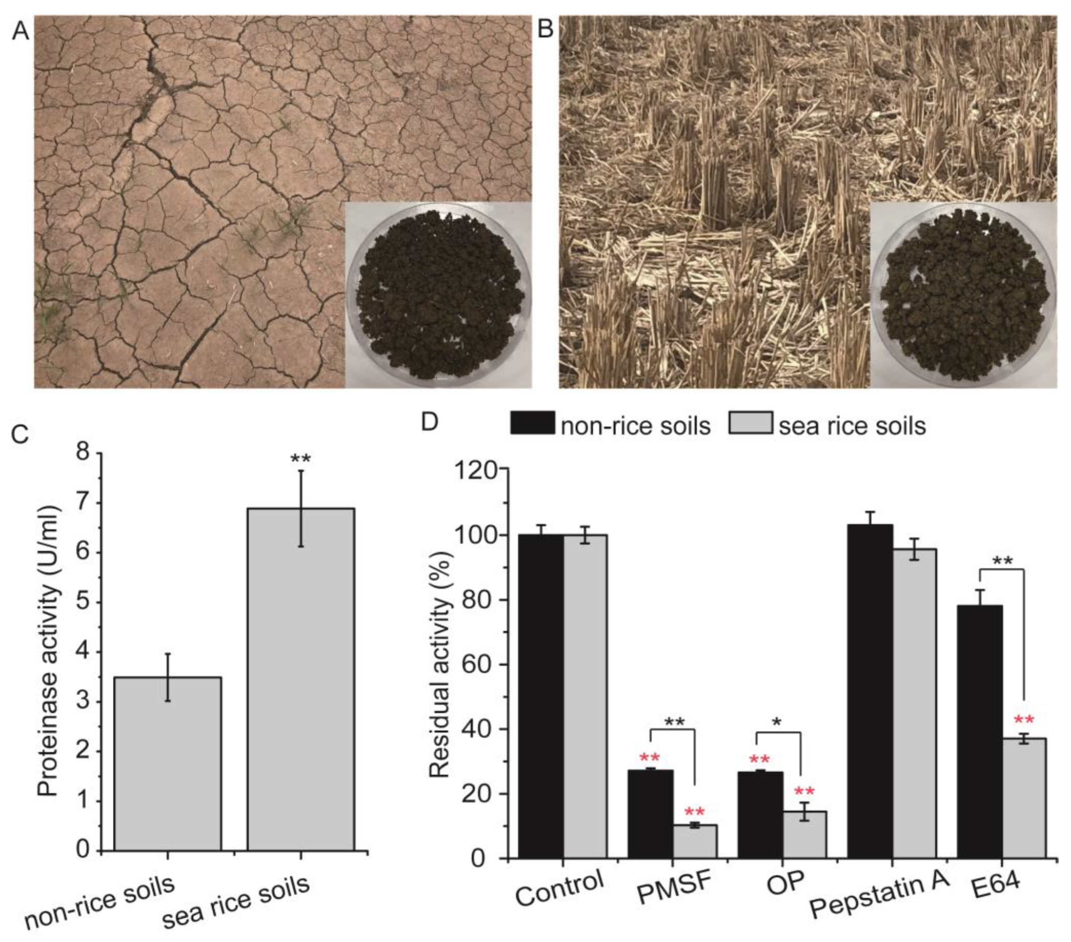 Agronomy 13 02089 g001