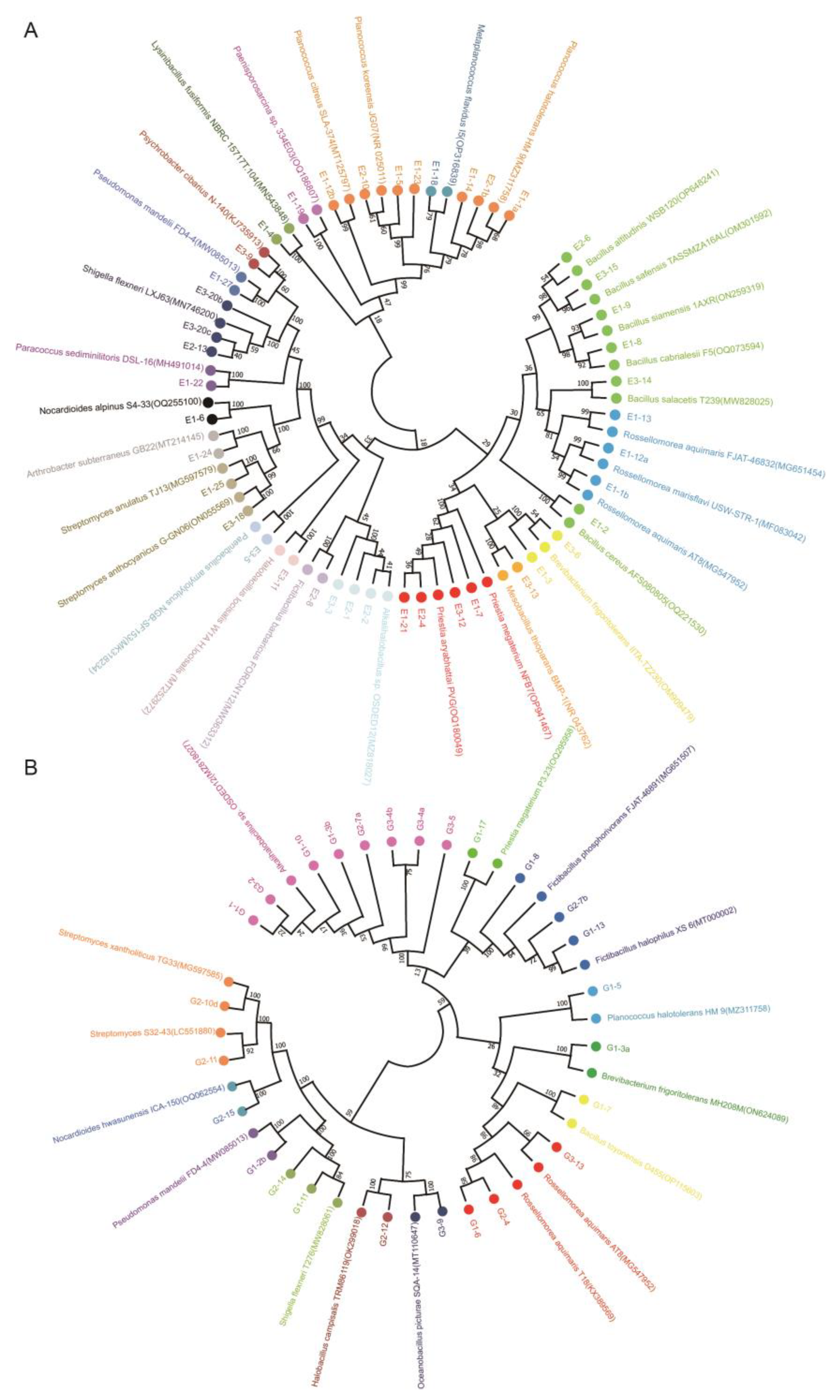 Agronomy 13 02089 g004