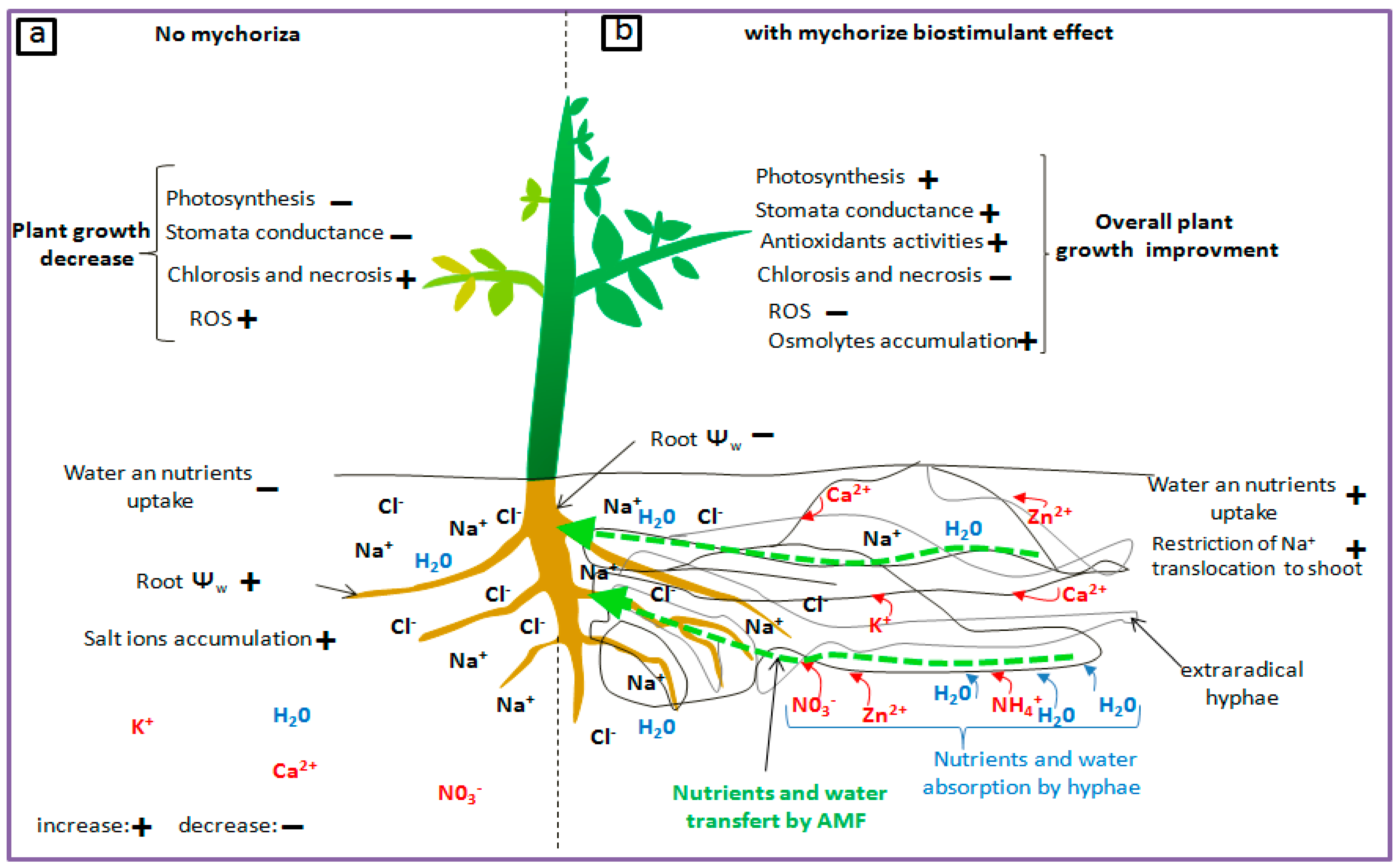 Agronomy 13 02092 g002