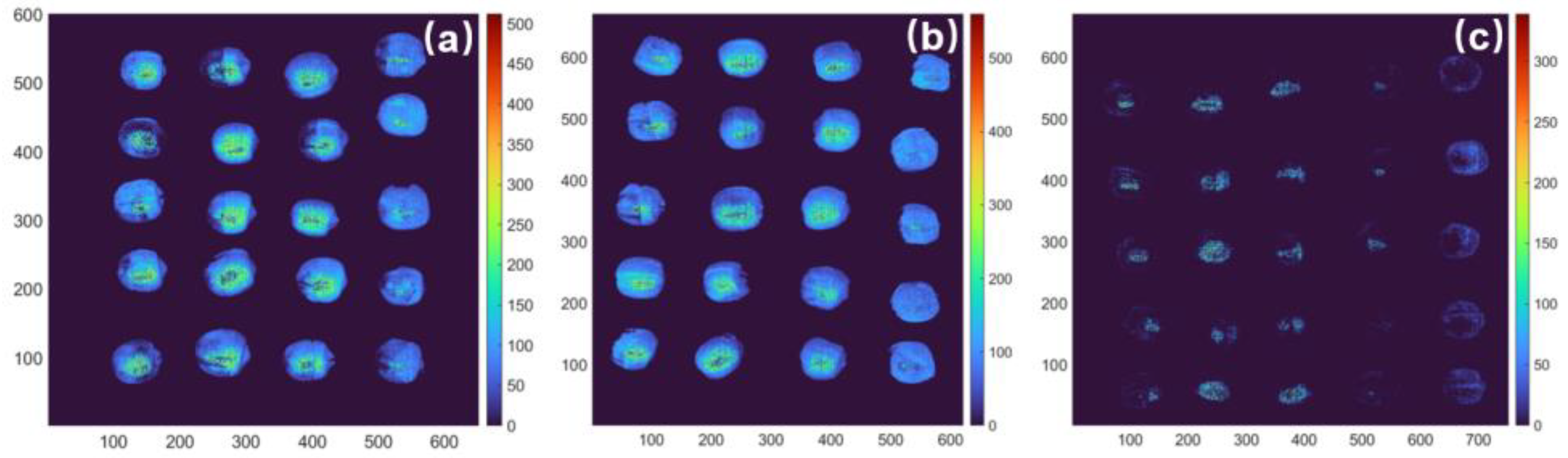 Agronomy 13 02104 g008 Agronomy 13 02104 g008