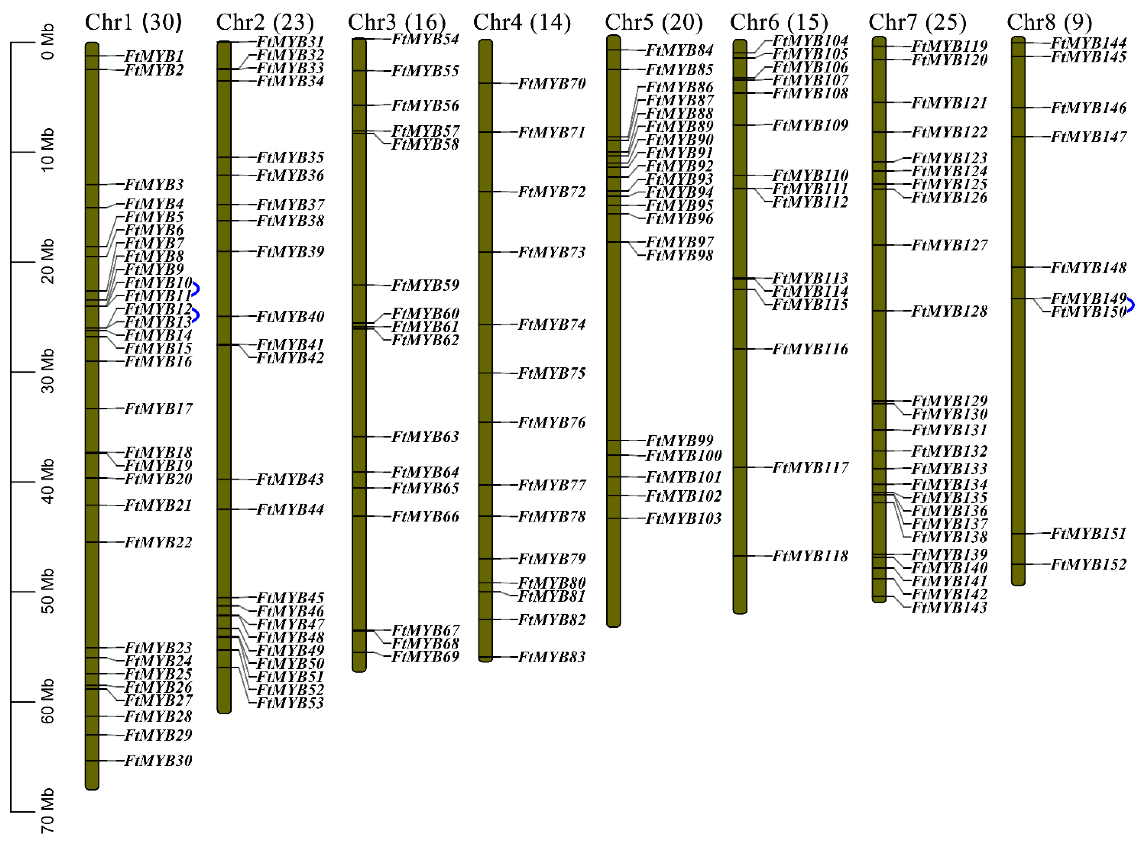 Agronomy 13 02117 g001