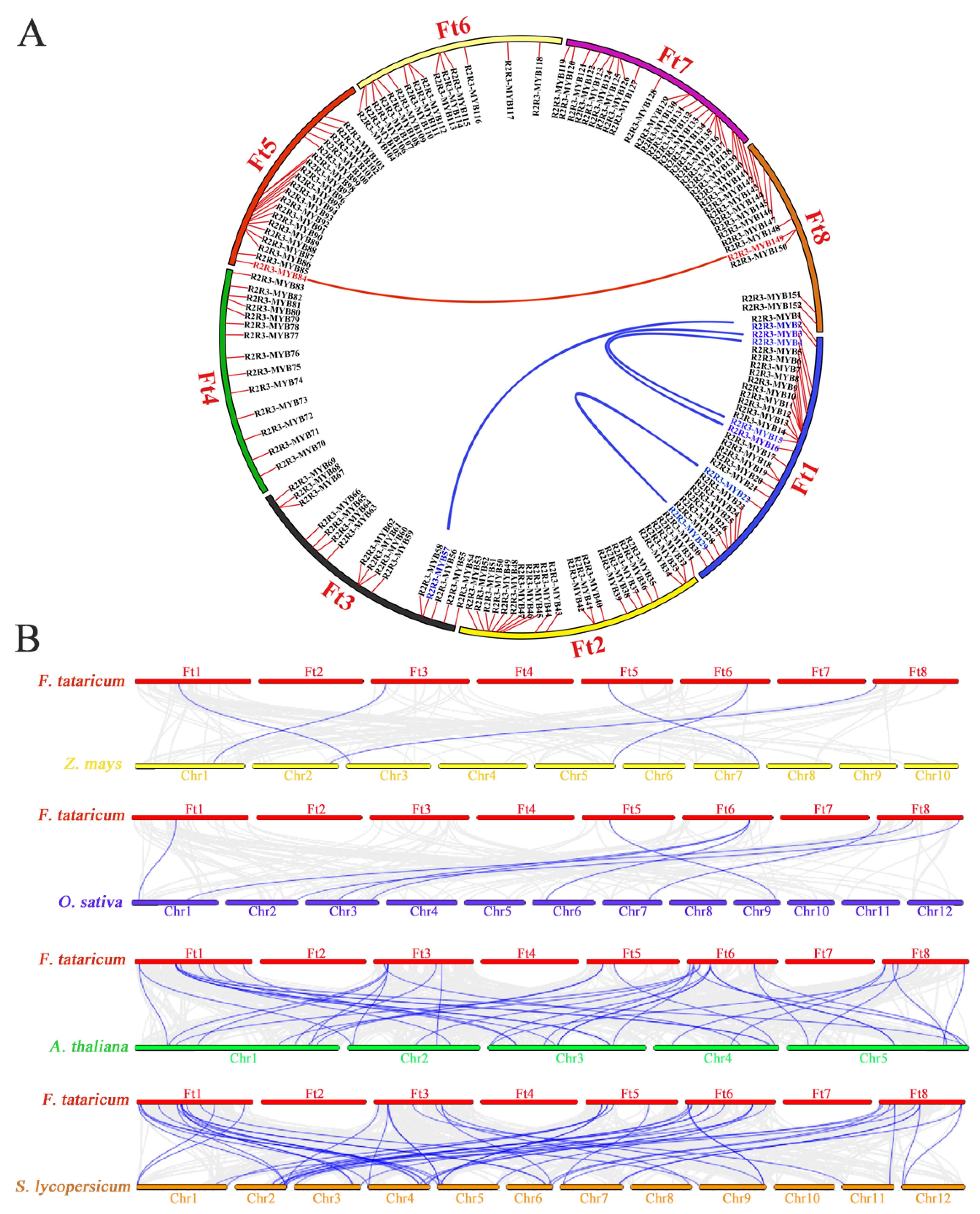 Agronomy 13 02117 g004