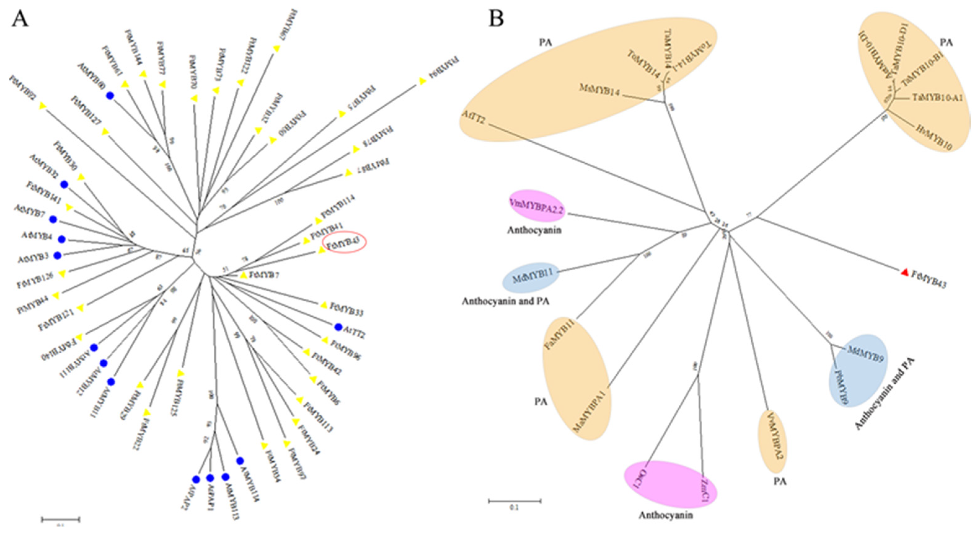 Agronomy 13 02117 g006