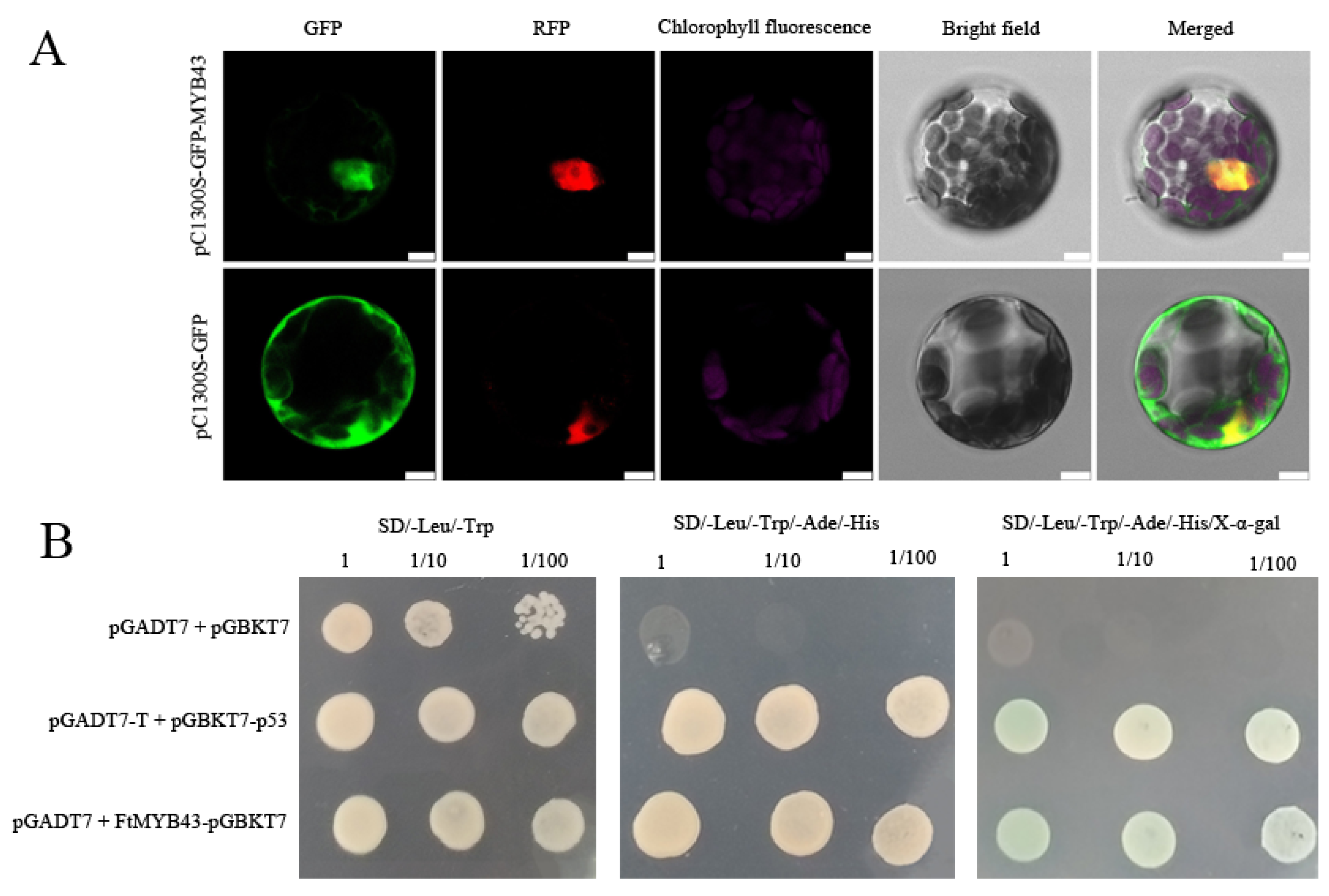 Agronomy 13 02117 g007