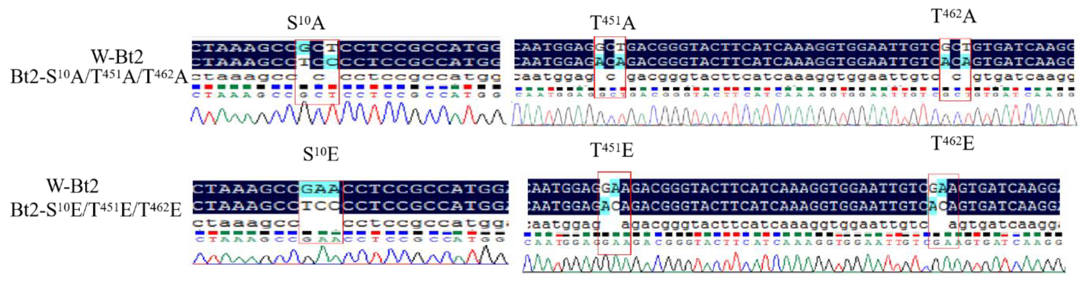 Agronomy 13 02119 g001