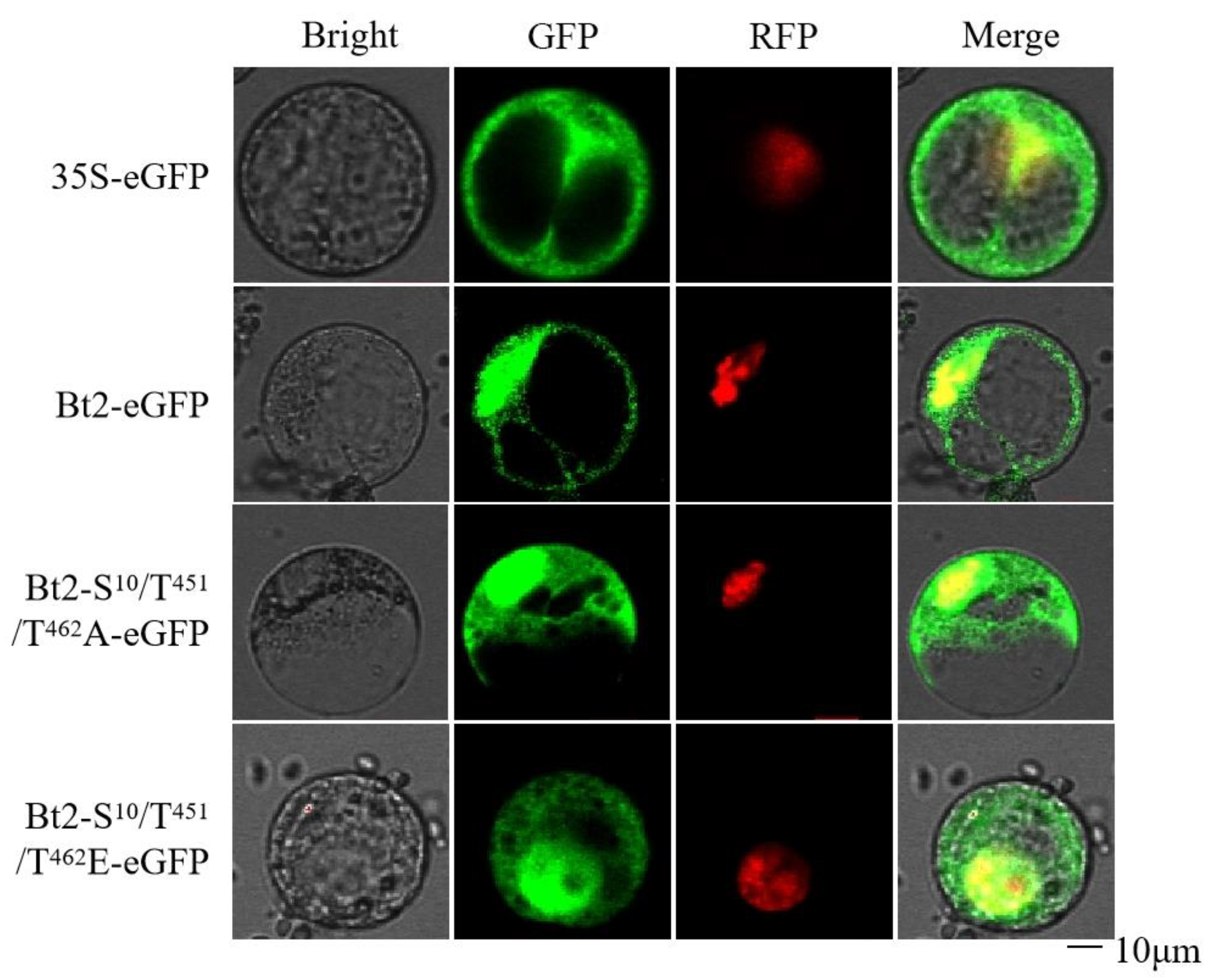 Agronomy 13 02119 g002