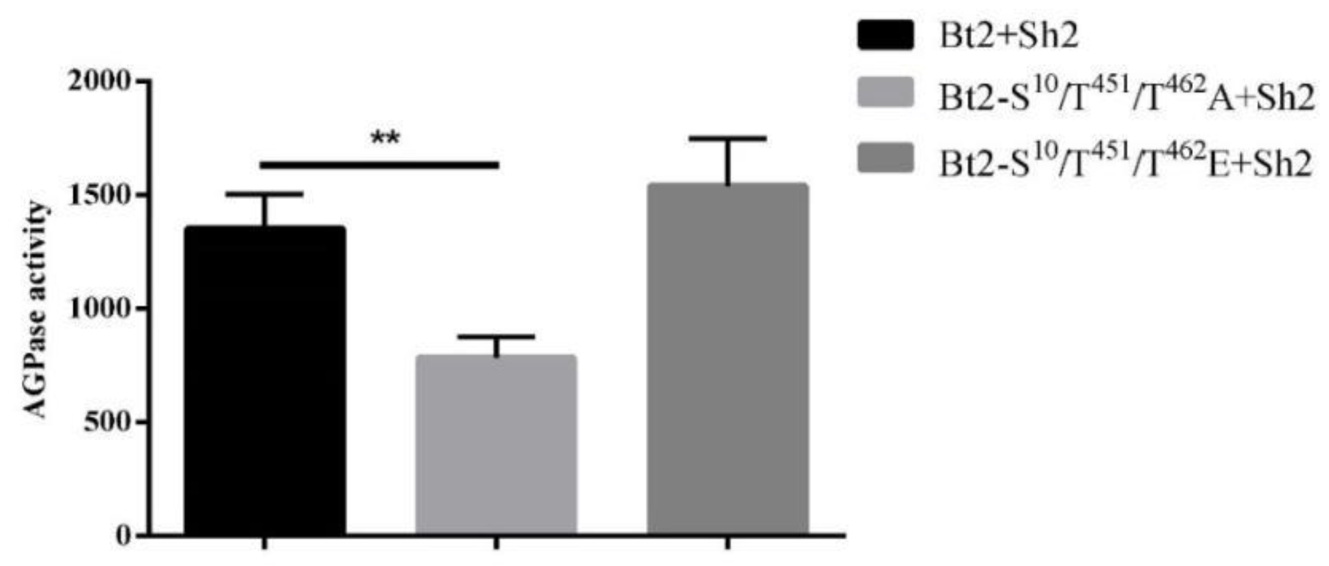 Agronomy 13 02119 g005
