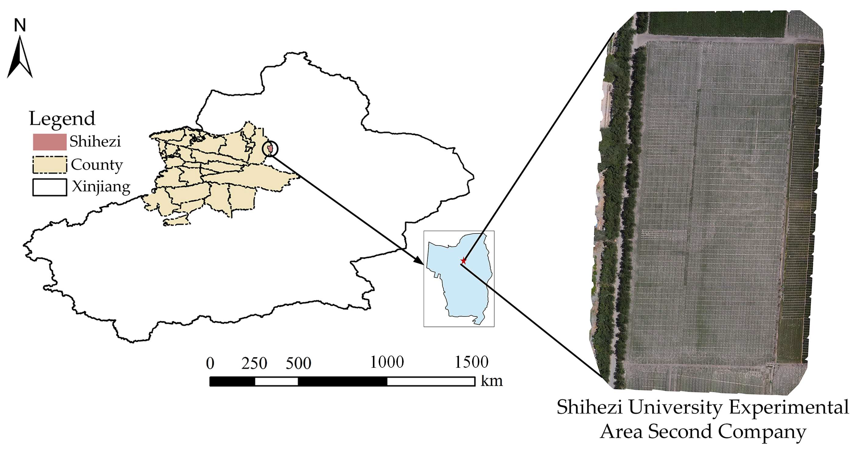 Agronomy 13 02120 g001