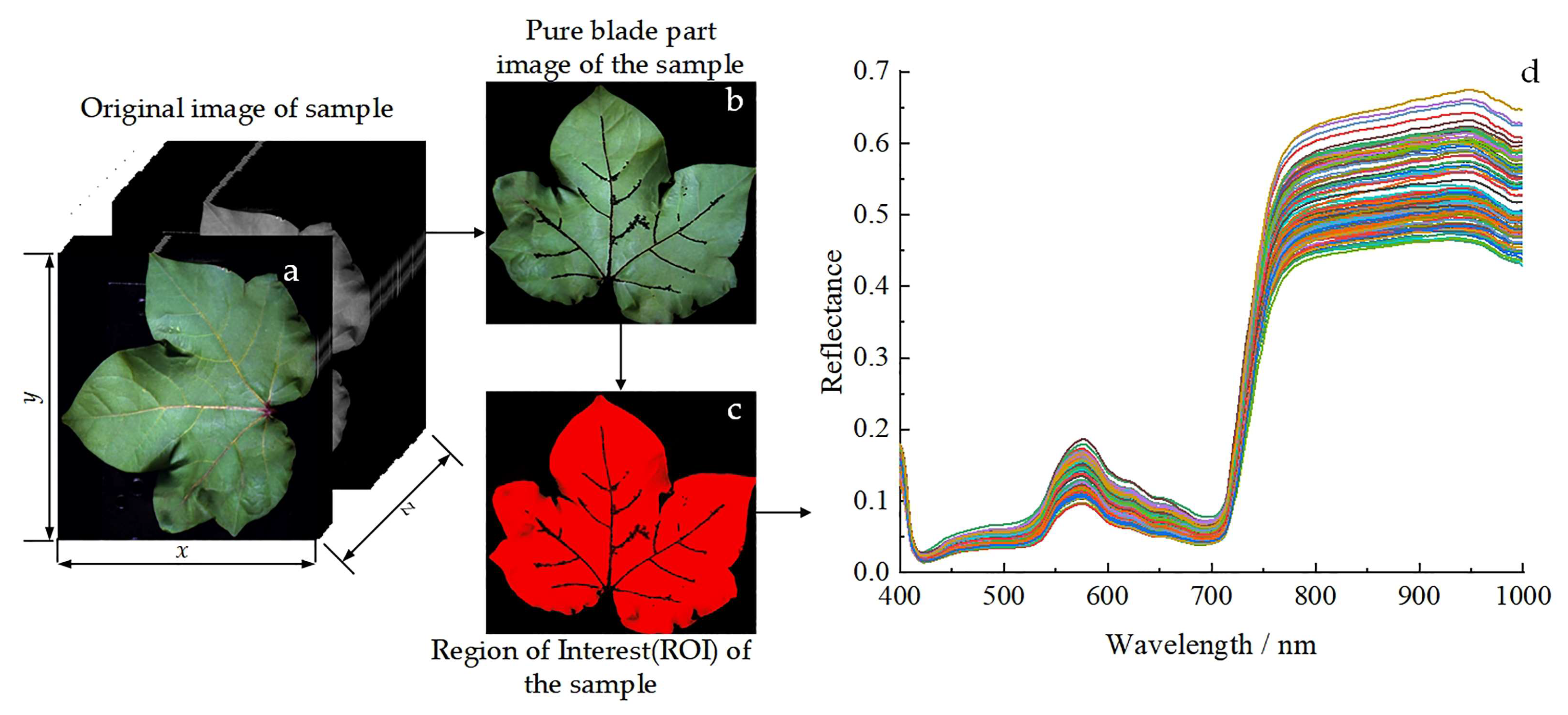 Agronomy 13 02120 g003
