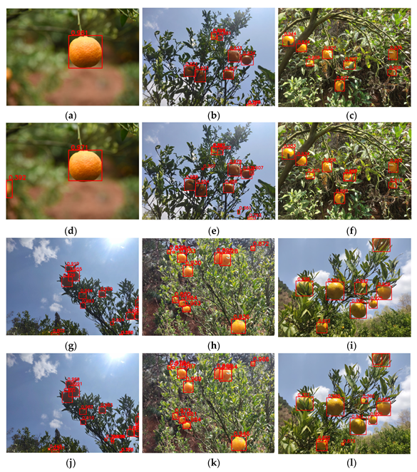 Agronomy 13 02122 g010