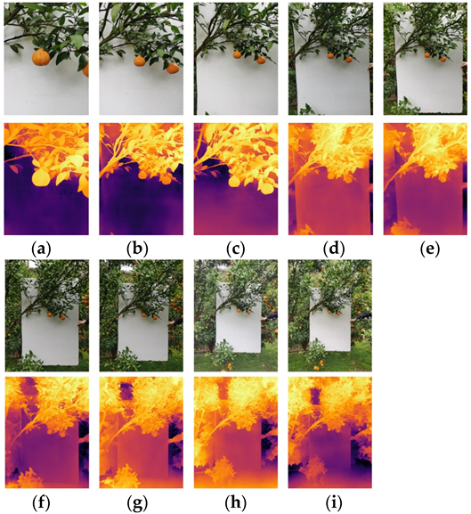 Agronomy 13 02122 g011