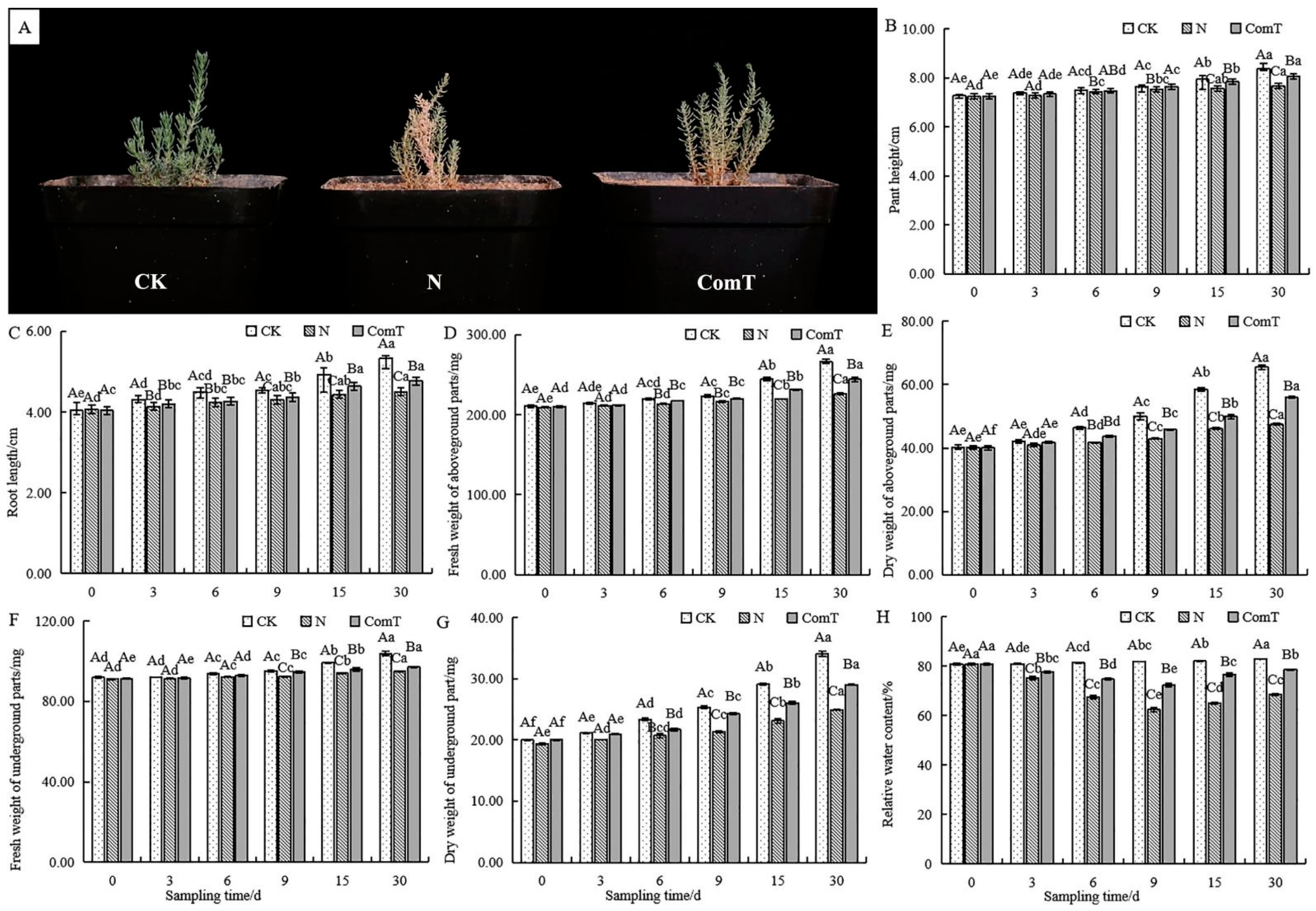 Agronomy 13 02124 g001