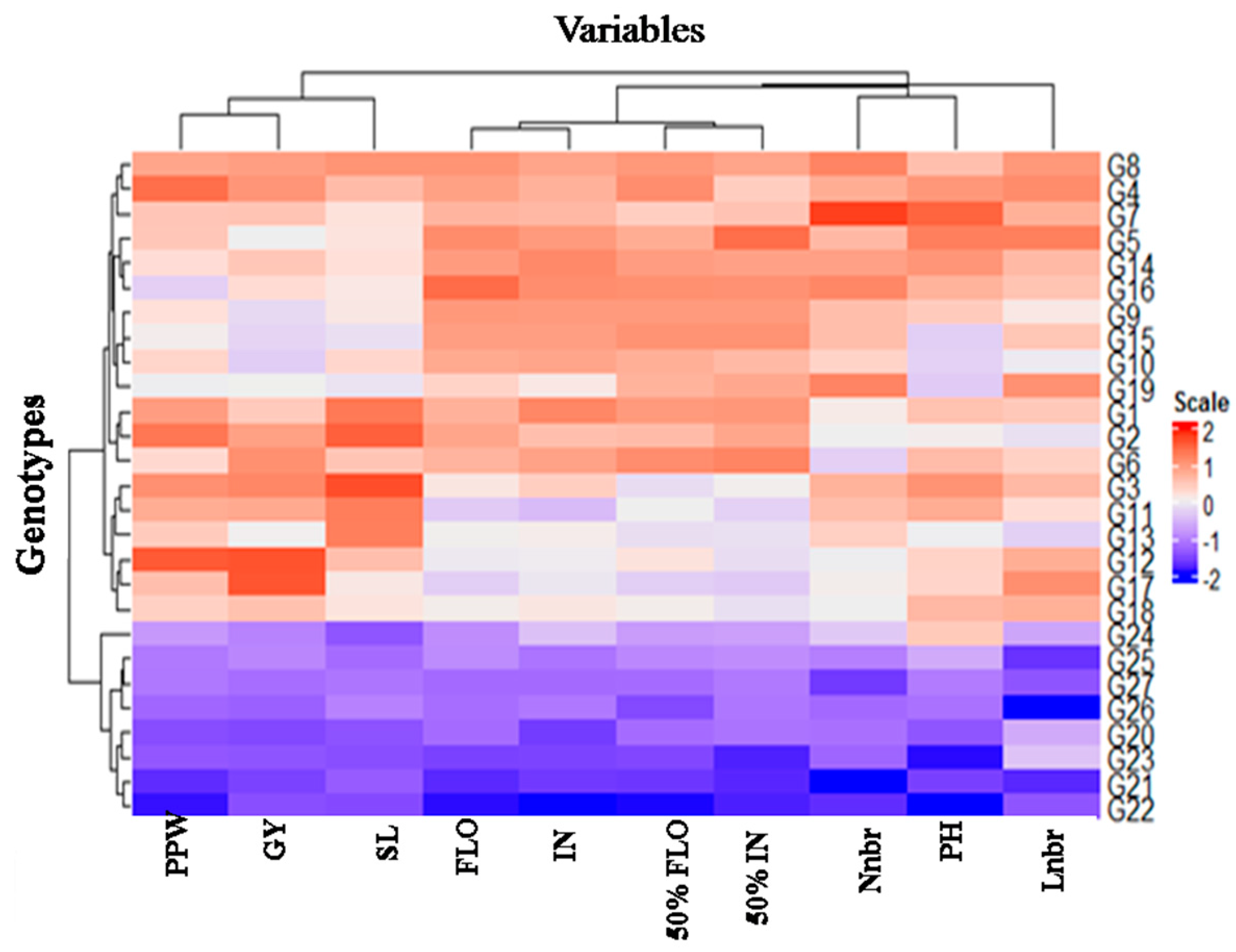 Agronomy 13 02128 g007