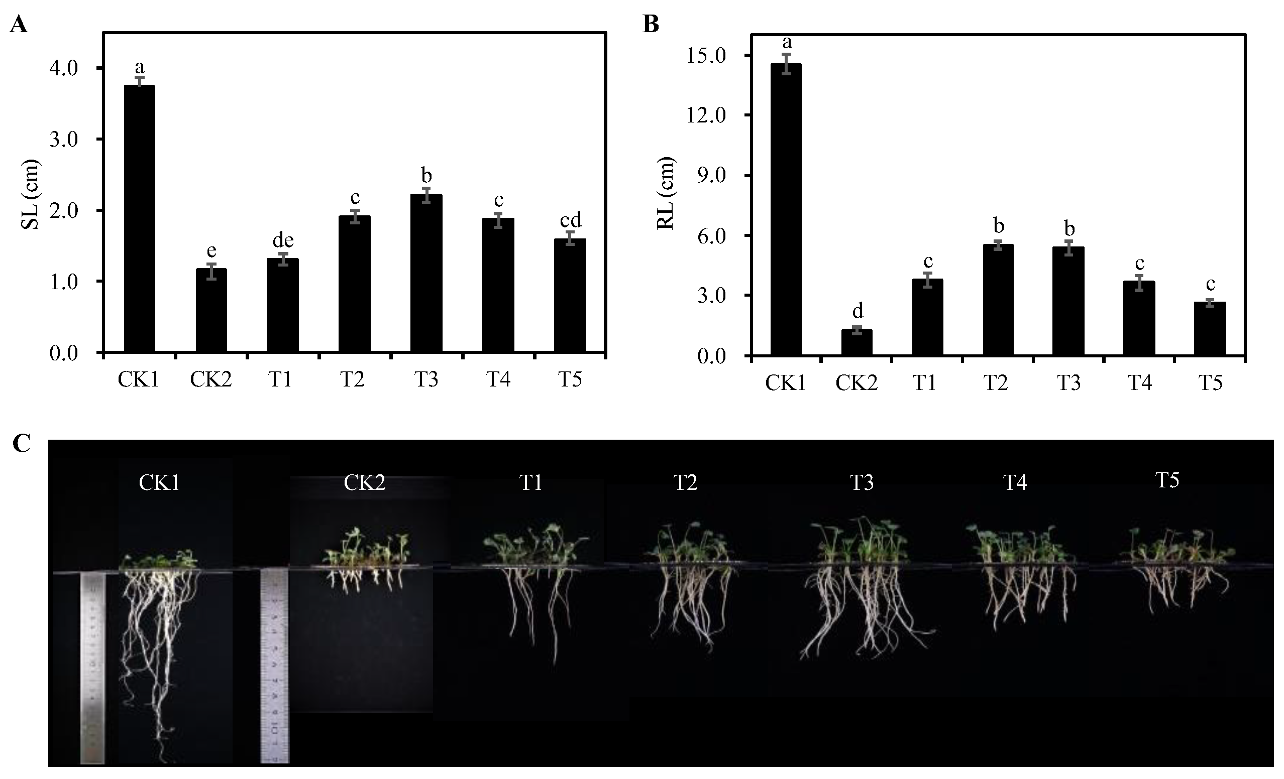 Agronomy 13 02129 g002 Agronomy 13 02129 g002
