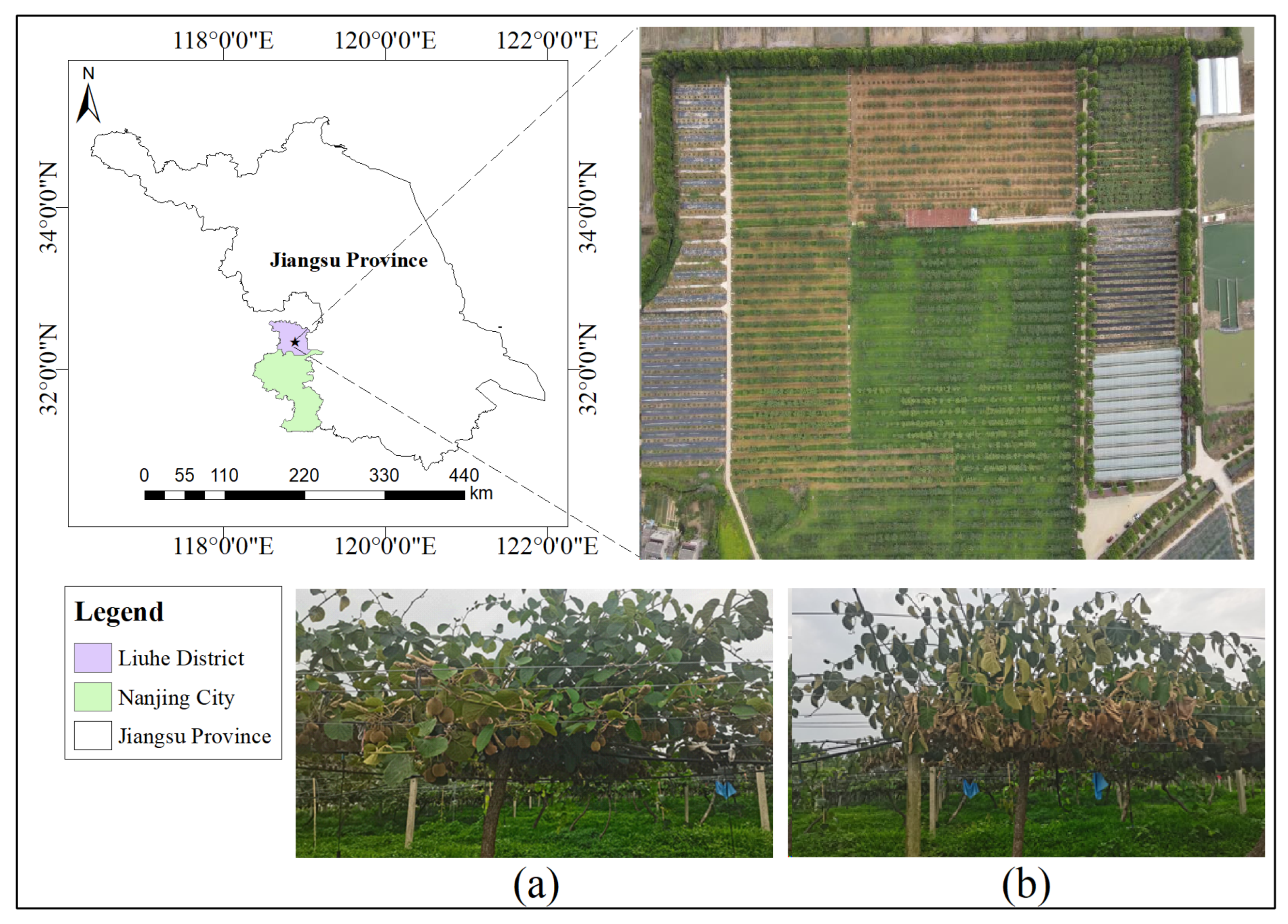 Agronomy 13 02137 g001