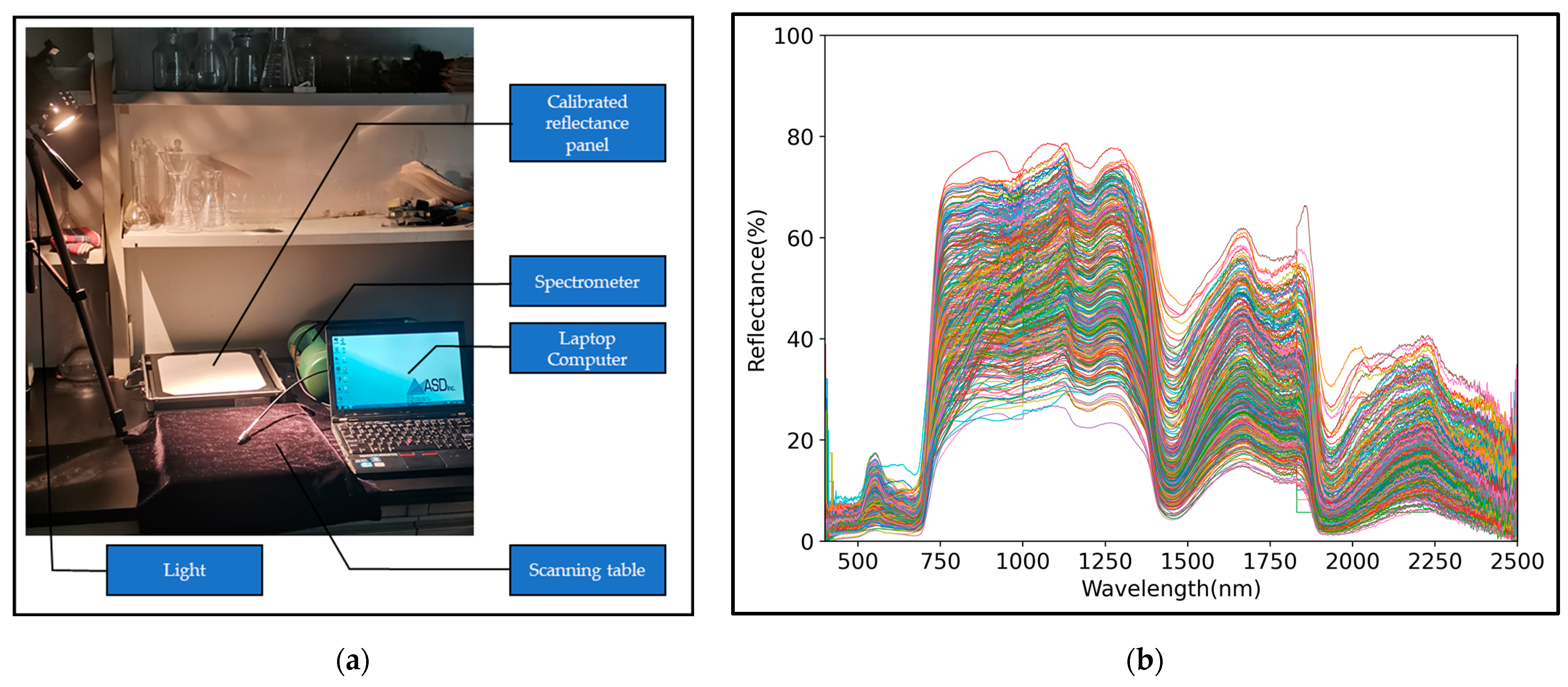 Agronomy 13 02137 g003