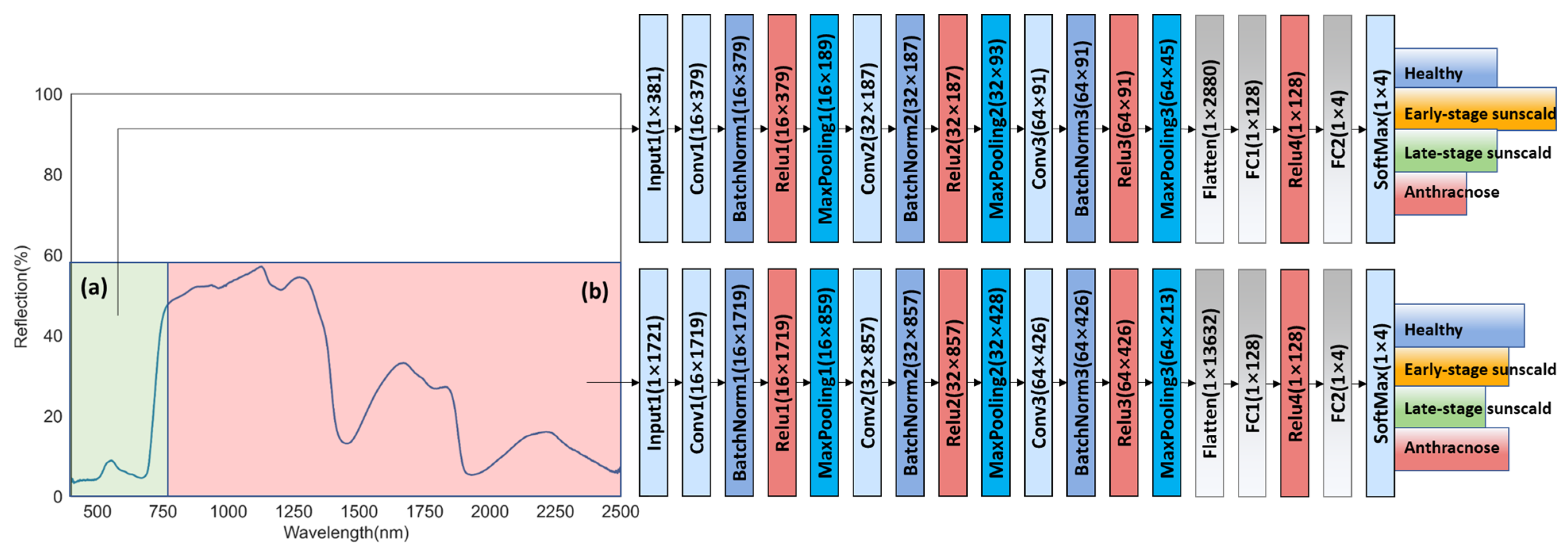 Agronomy 13 02137 g005