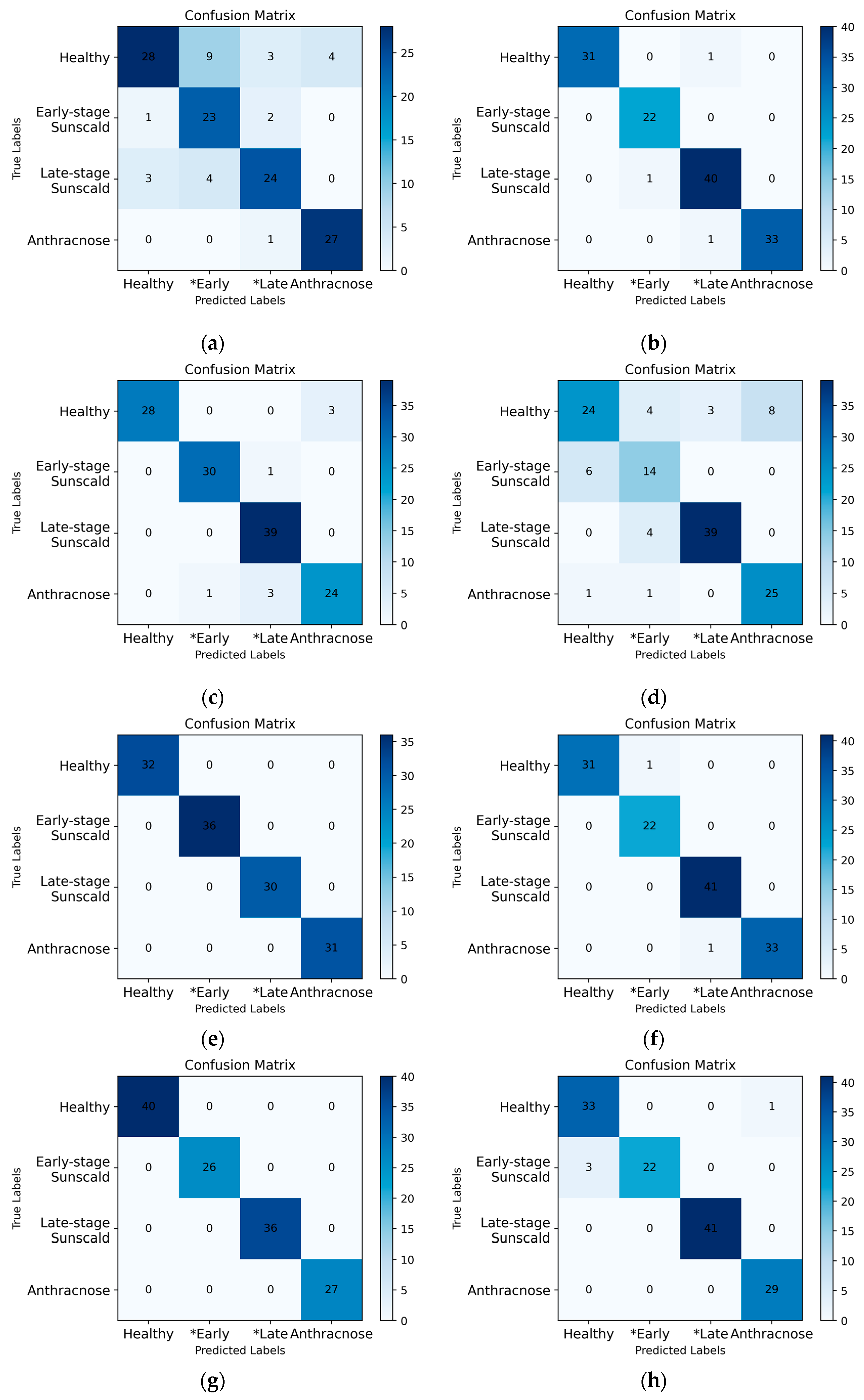 Agronomy 13 02137 g010