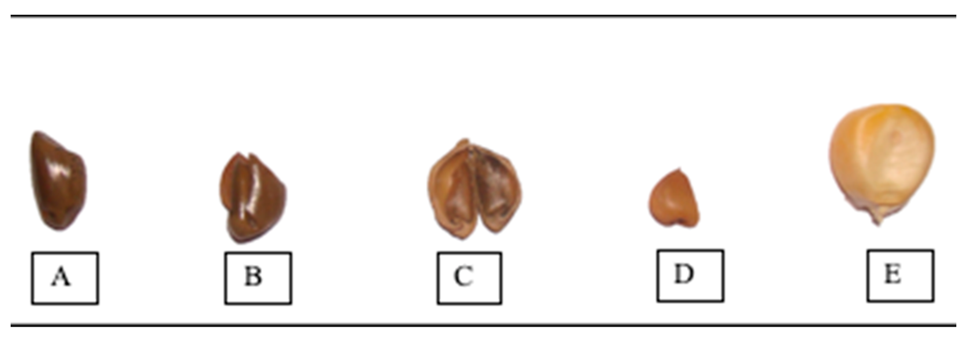 Agronomy 13 02138 g001