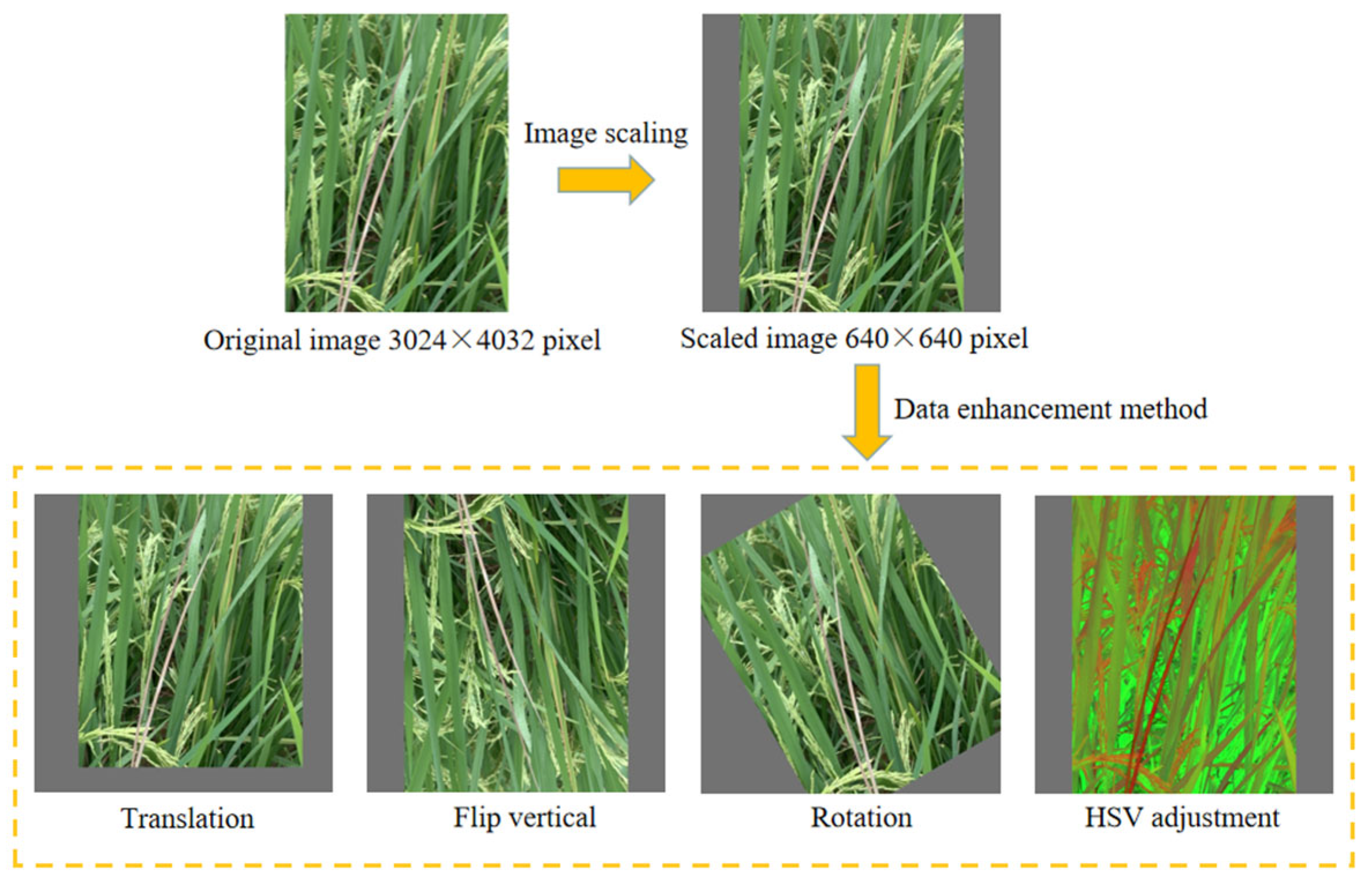Agronomy 13 02139 g002 Agronomy 13 02139 g002