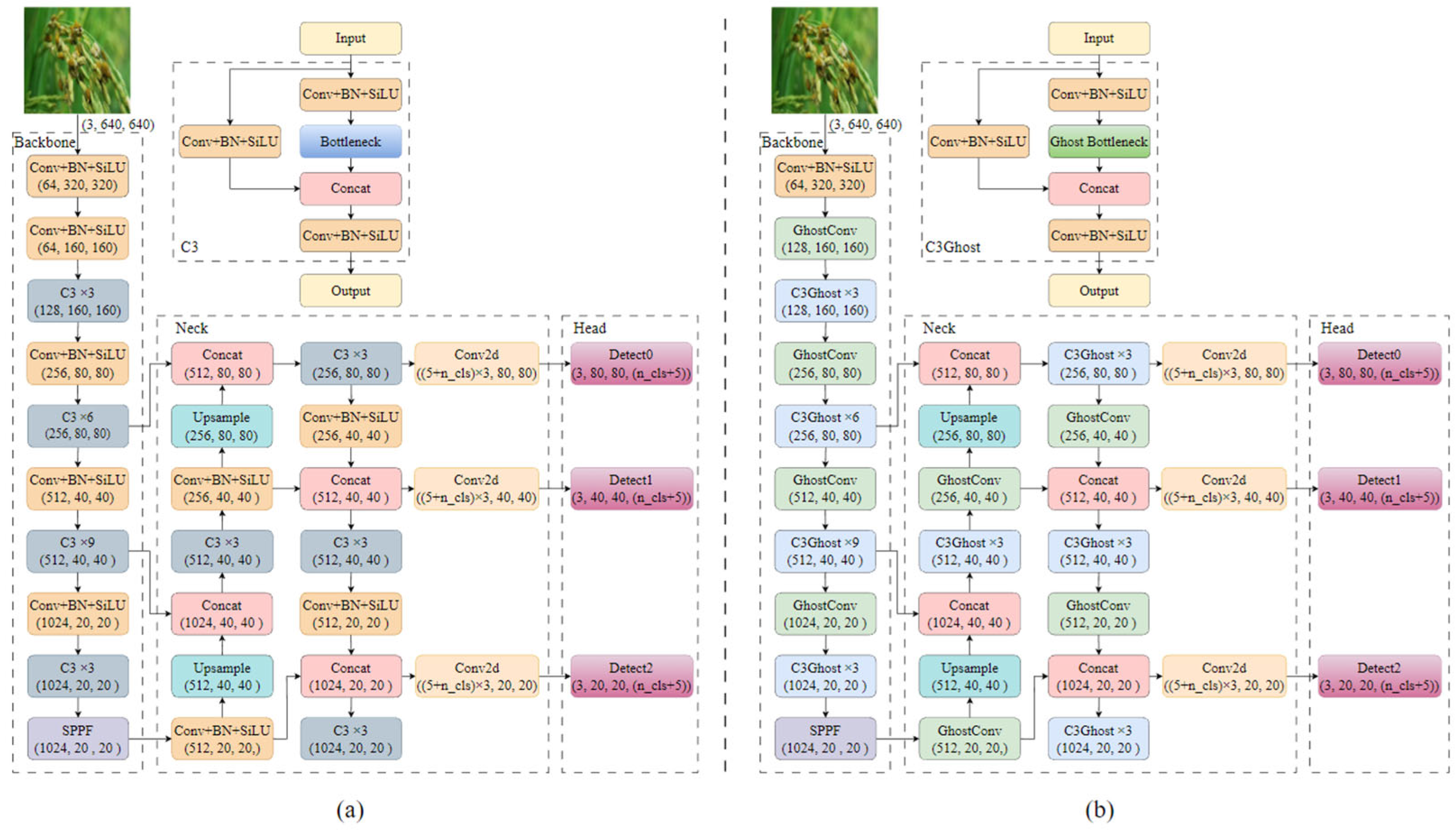 Agronomy 13 02139 g005 Agronomy 13 02139 g005