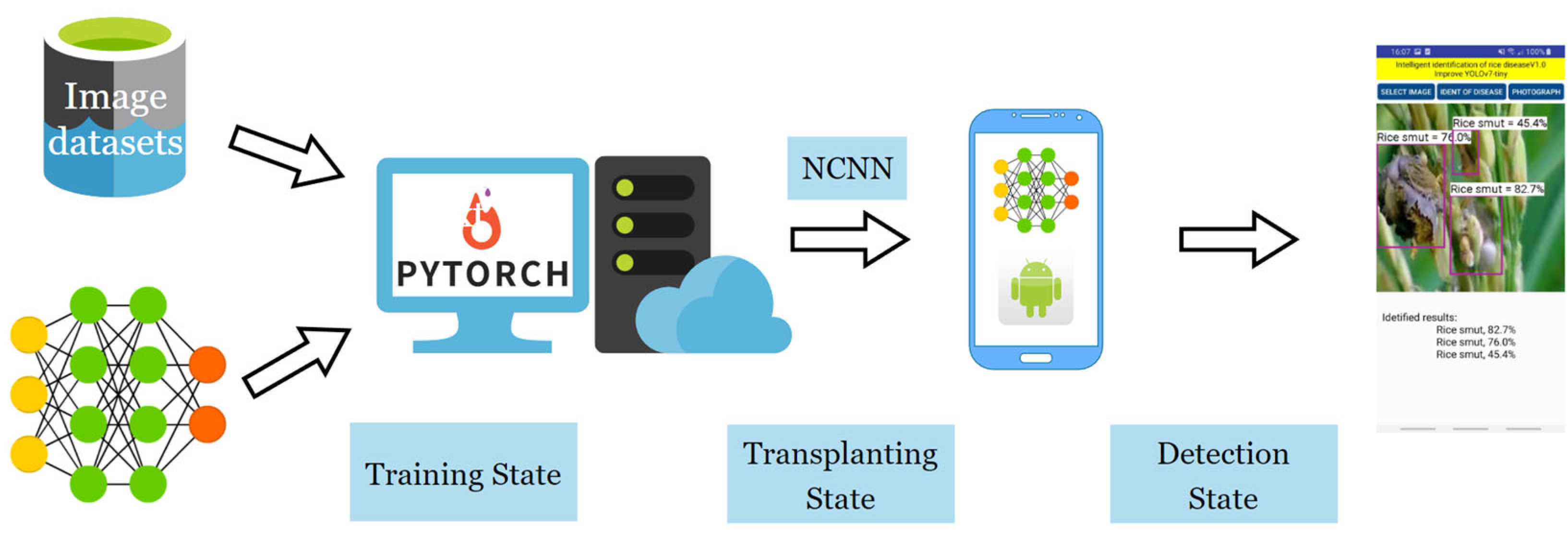 Agronomy 13 02139 g008 Agronomy 13 02139 g008