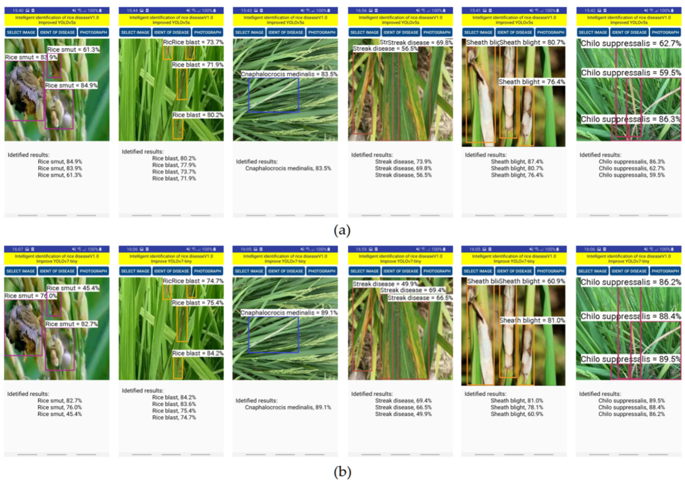 Agronomy 13 02139 g012 Agronomy 13 02139 g012
