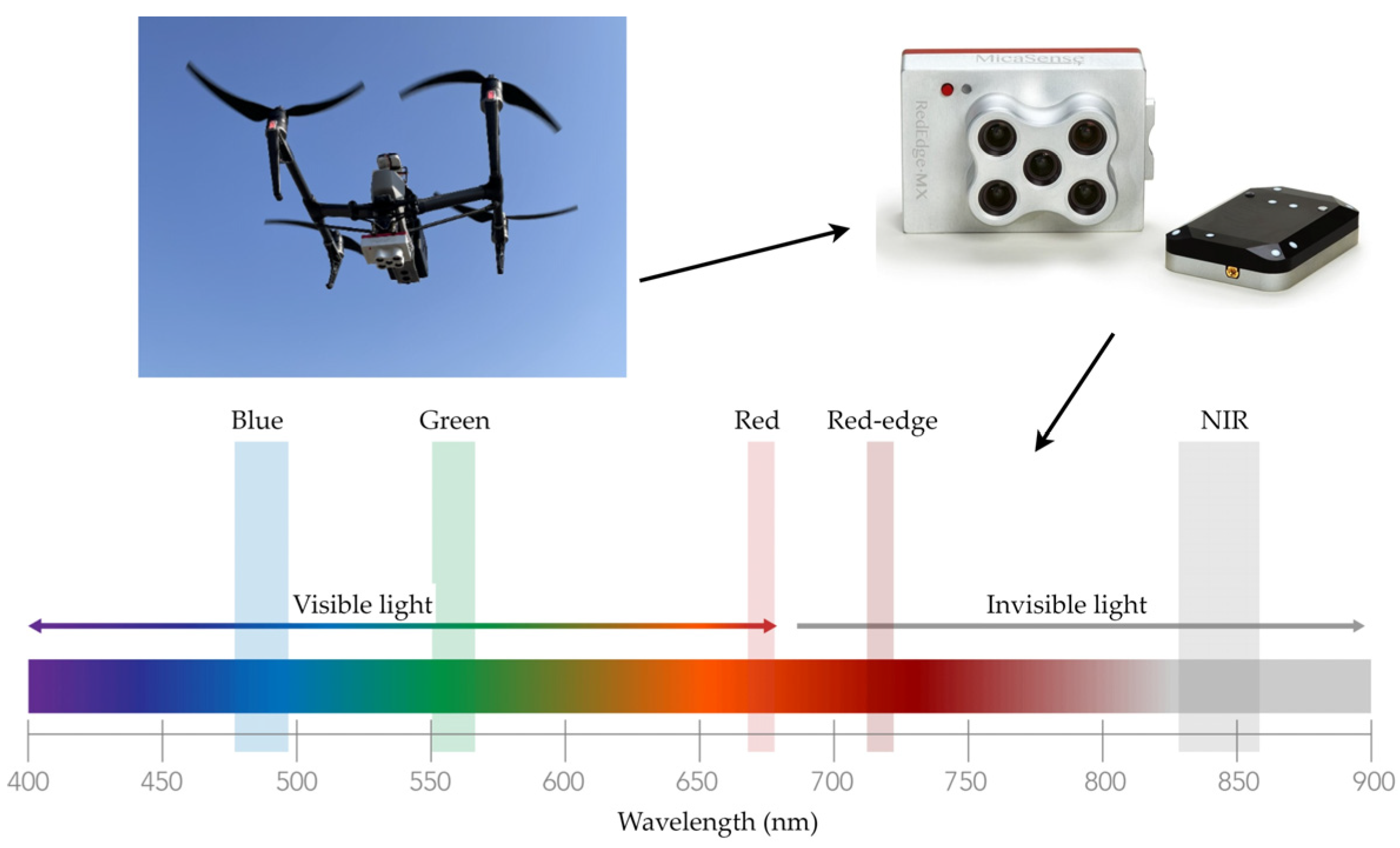 Agronomy 13 02147 g003