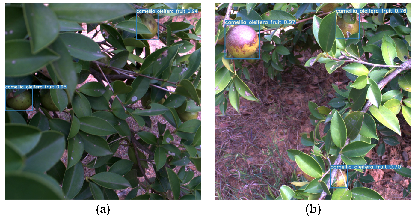 Agronomy 13 02153 g004