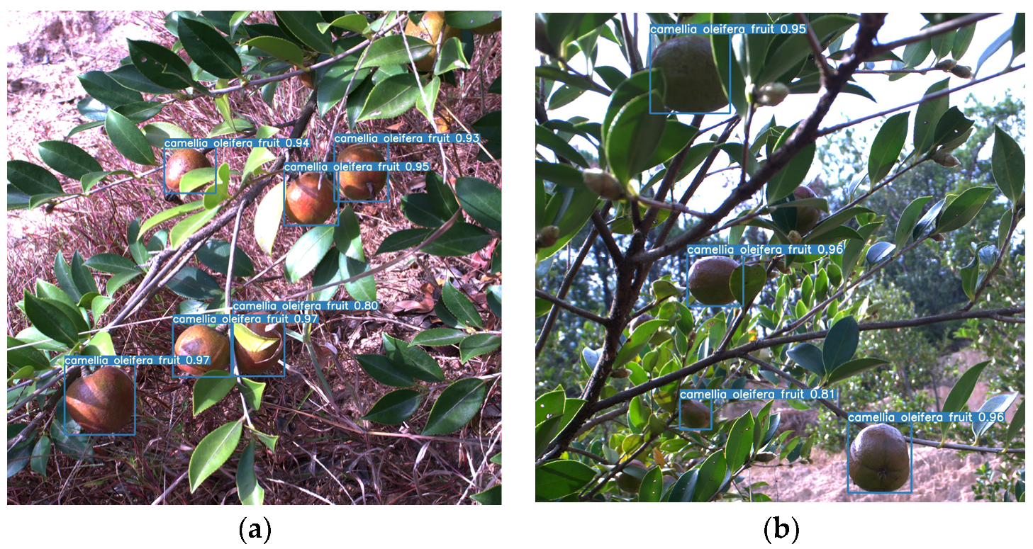 Agronomy 13 02153 g005