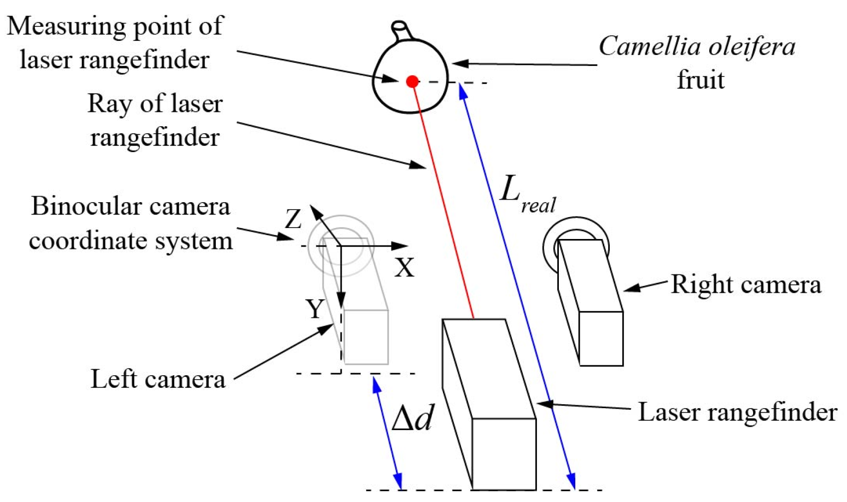 Agronomy 13 02153 g009