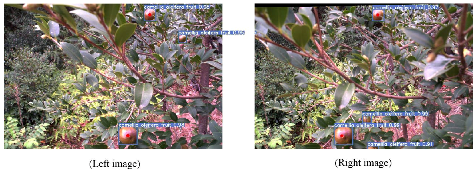 Agronomy 13 02153 g010