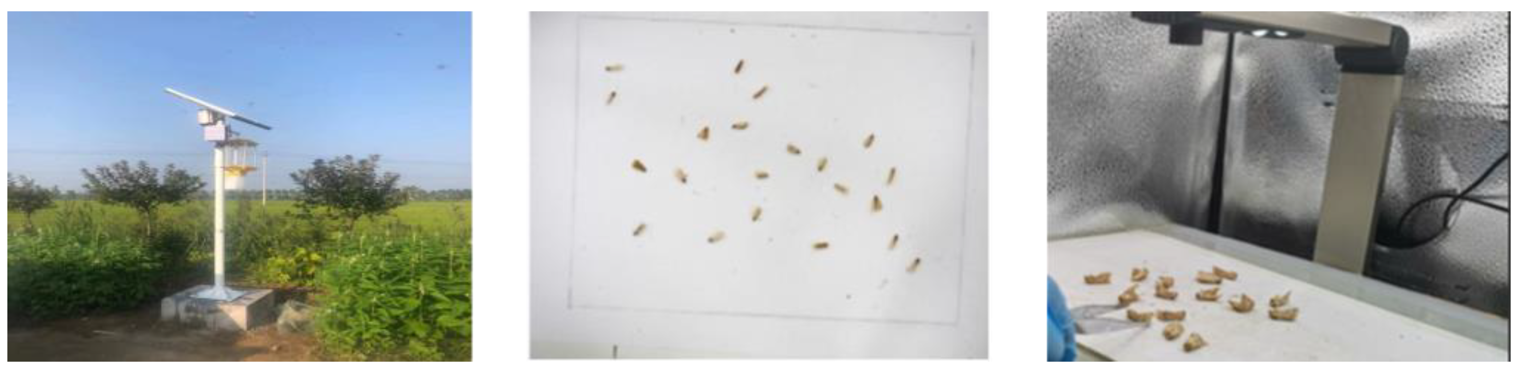 Agronomy 13 02155 g003