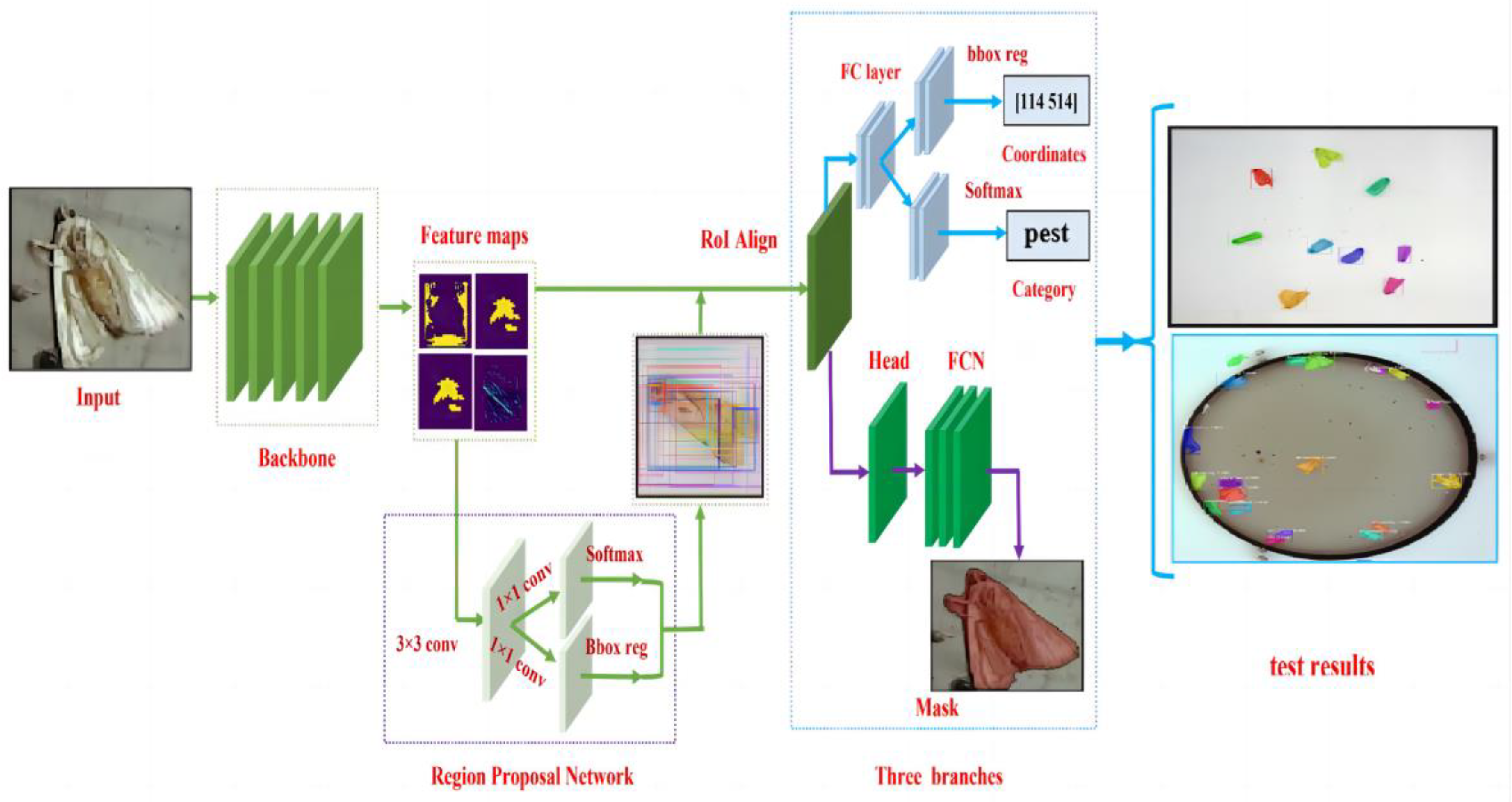 Agronomy 13 02155 g012