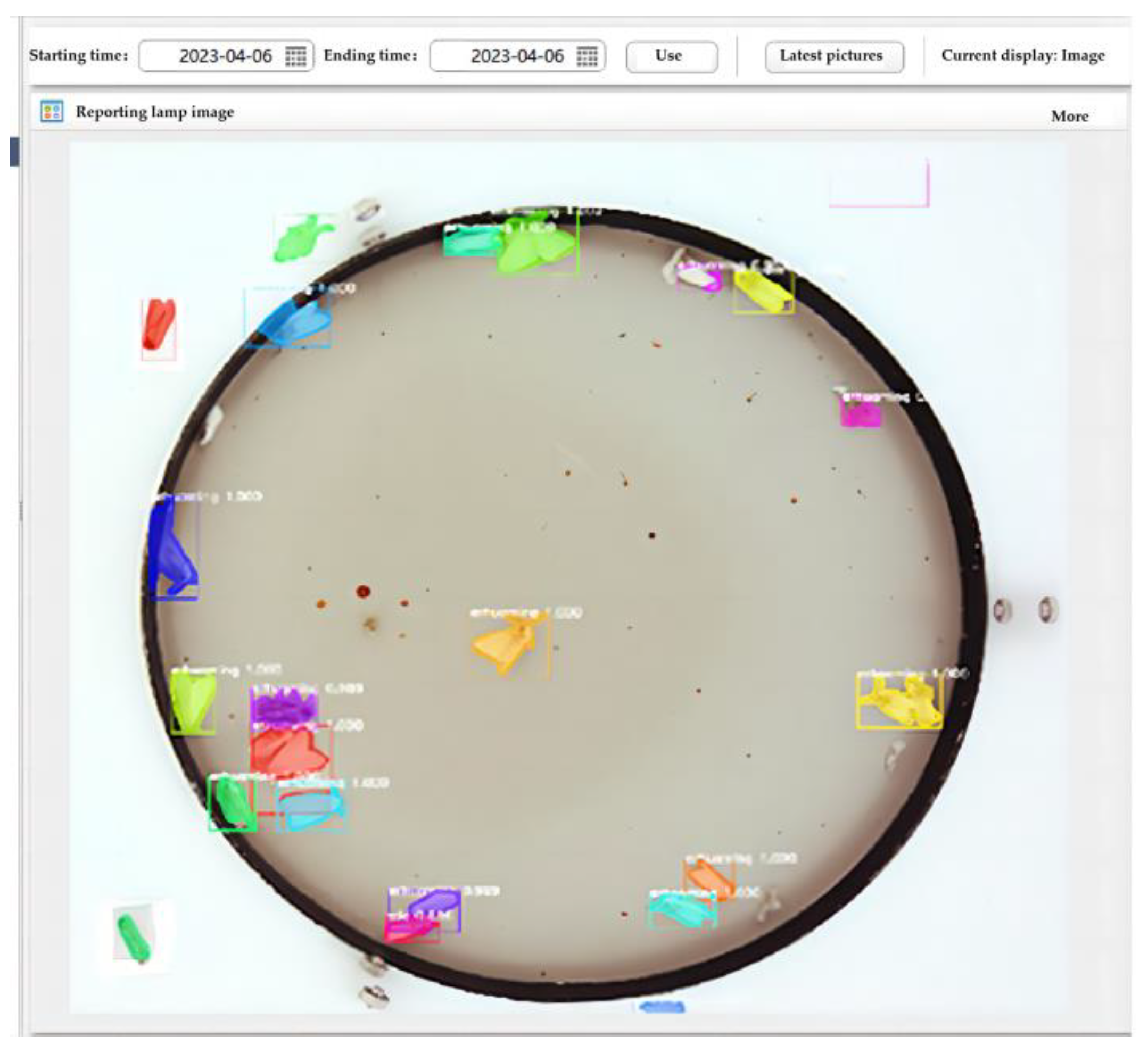 Agronomy 13 02155 g019